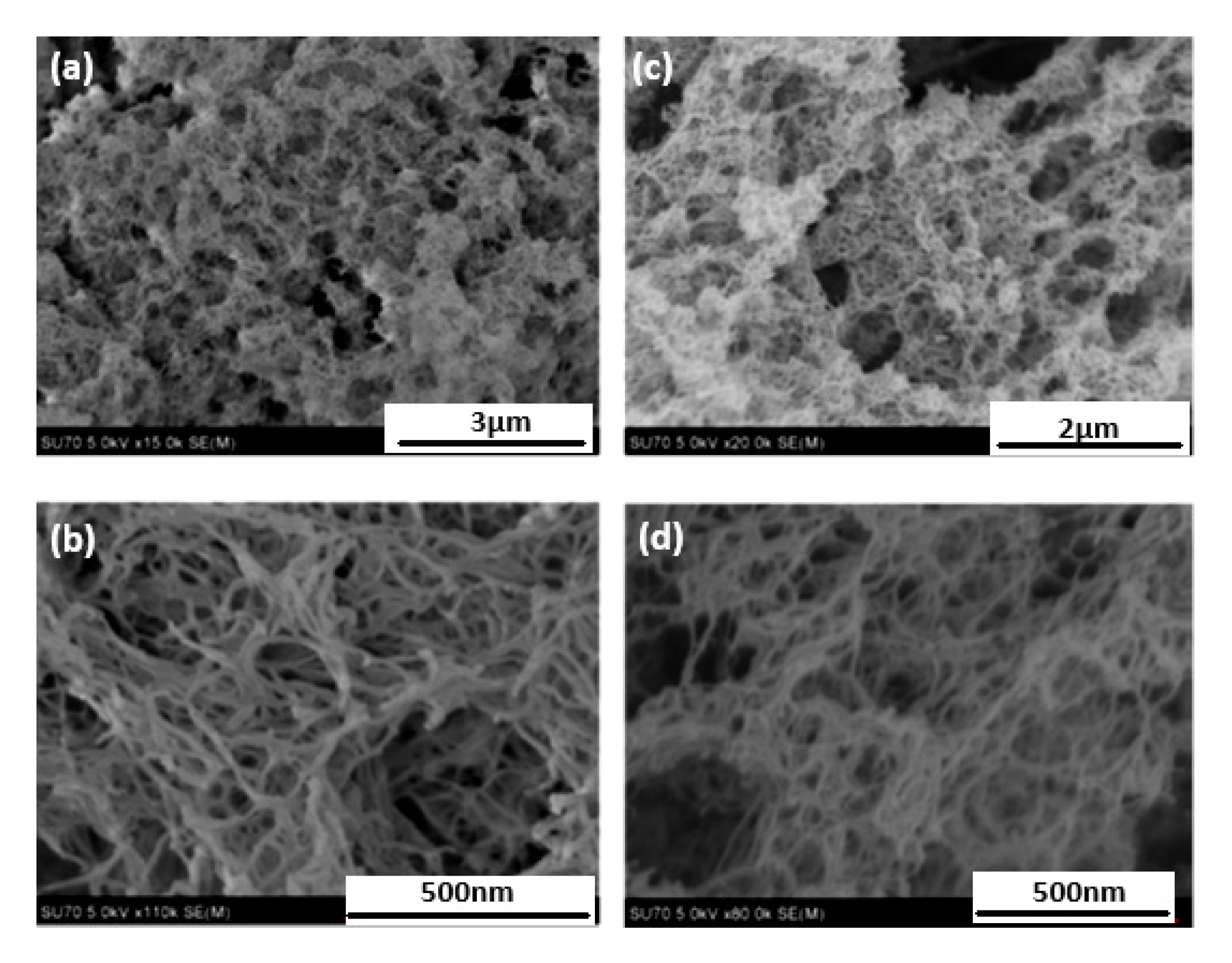 Polymers 12 02779 g033