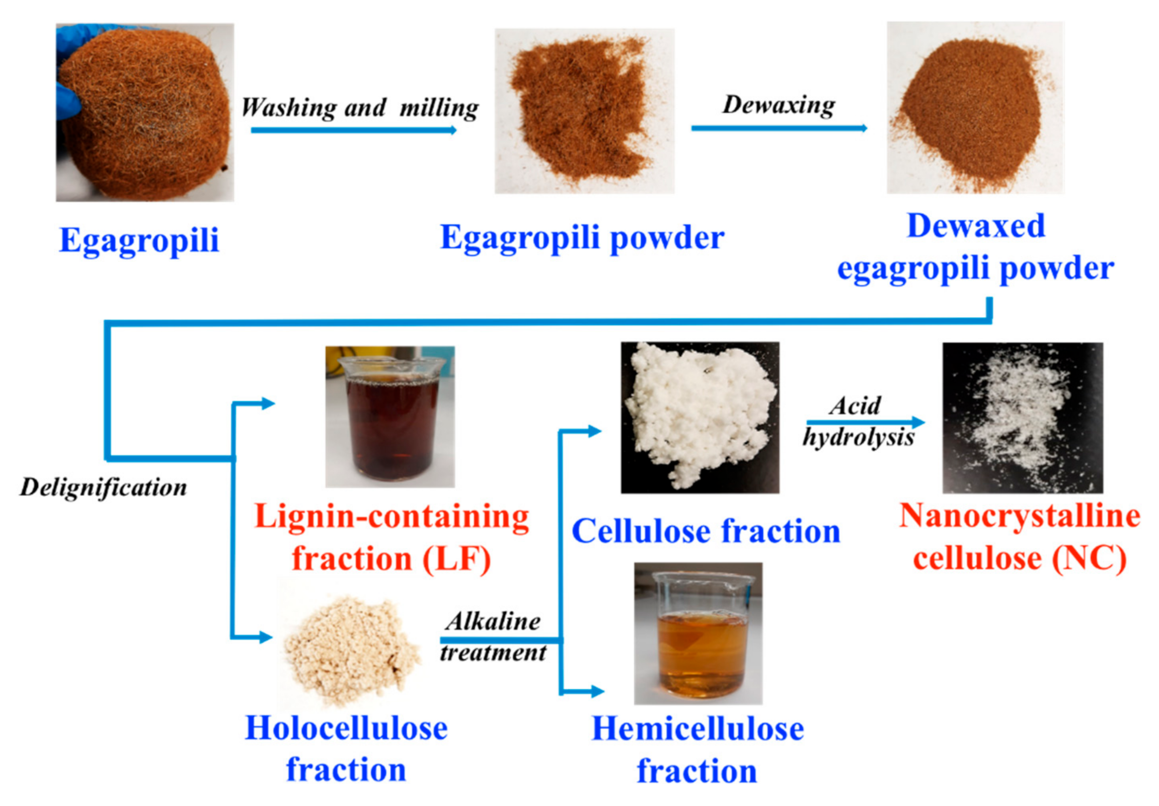 Polymers 12 02788 g002