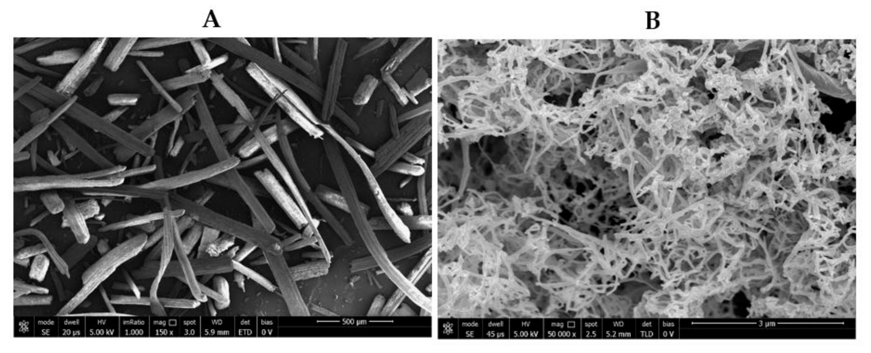 Polymers 12 02788 g003