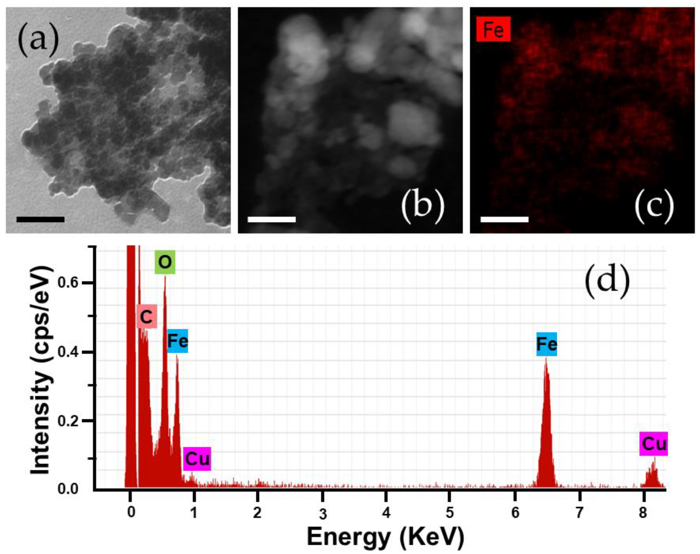 Polymers 12 02790 g003