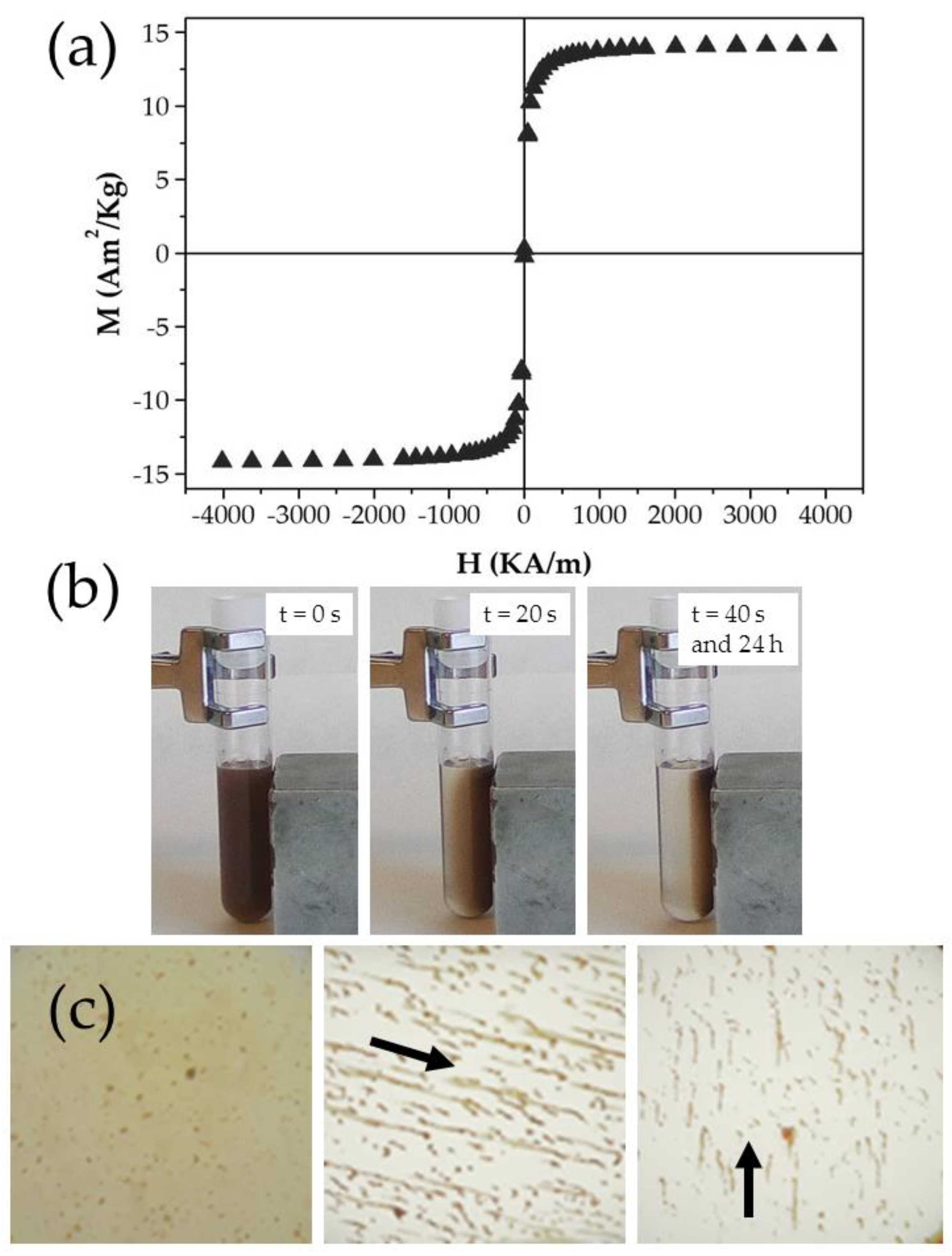 Polymers 12 02790 g009