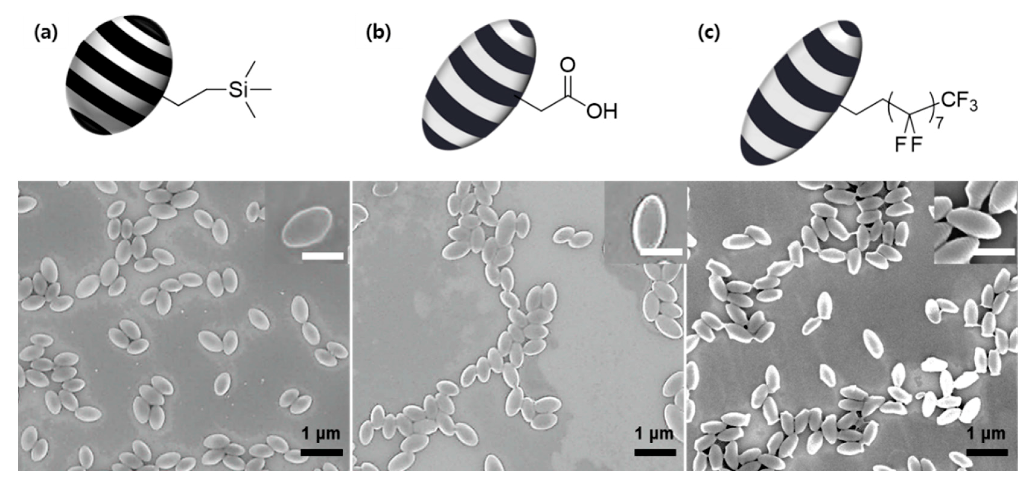 Polymers 12 02804 g003