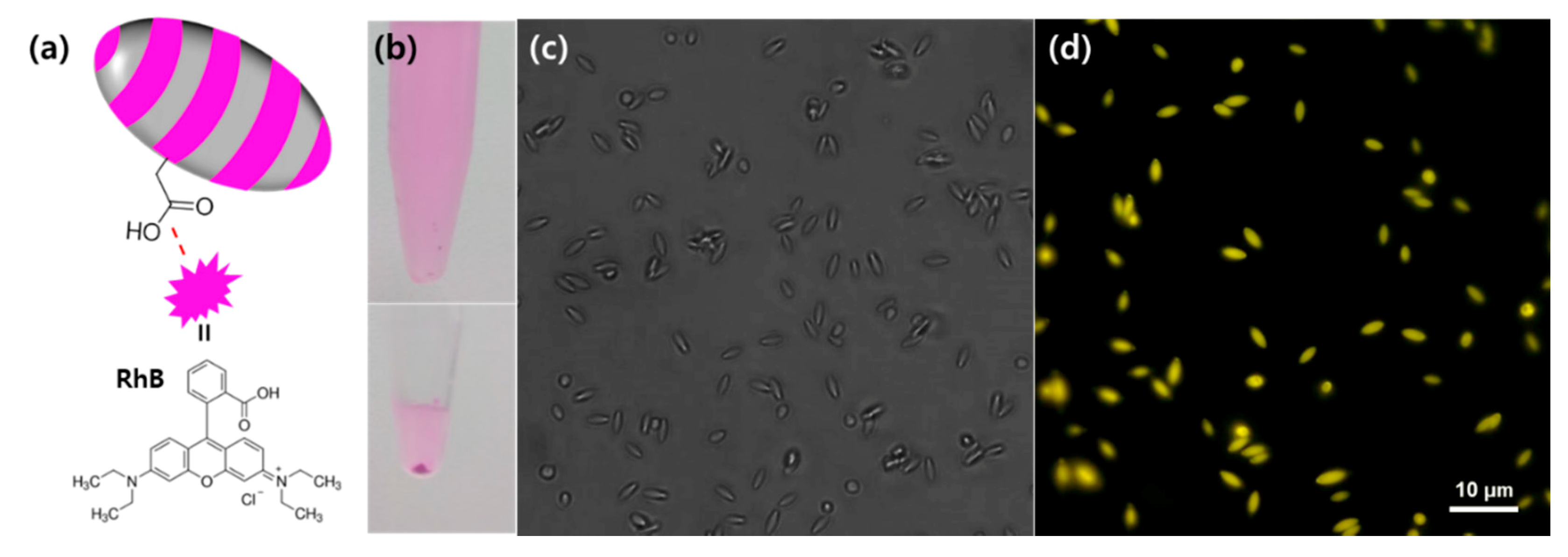 Polymers 12 02804 g005
