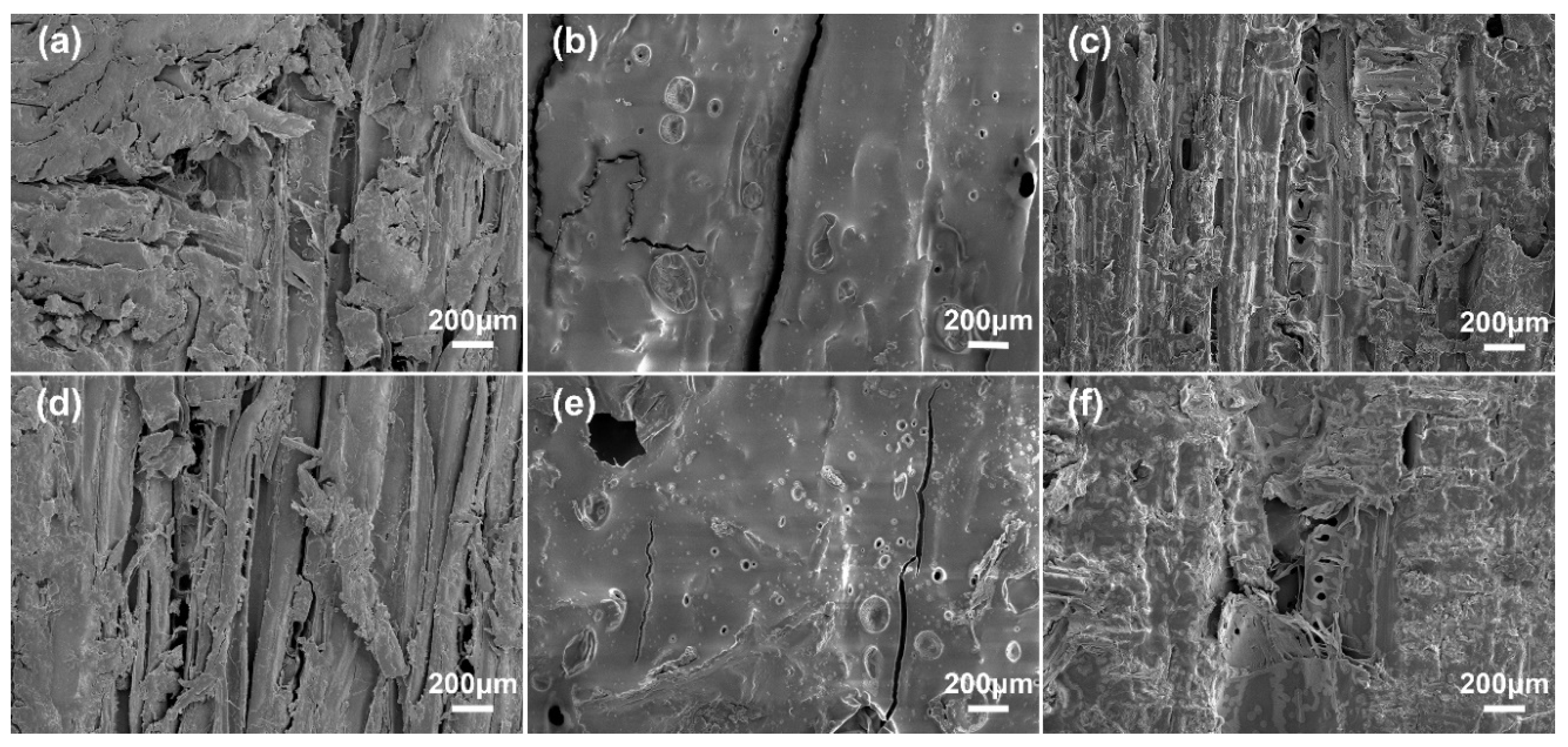 Polymers 12 02805 g008 Polymers 12 02805 g008