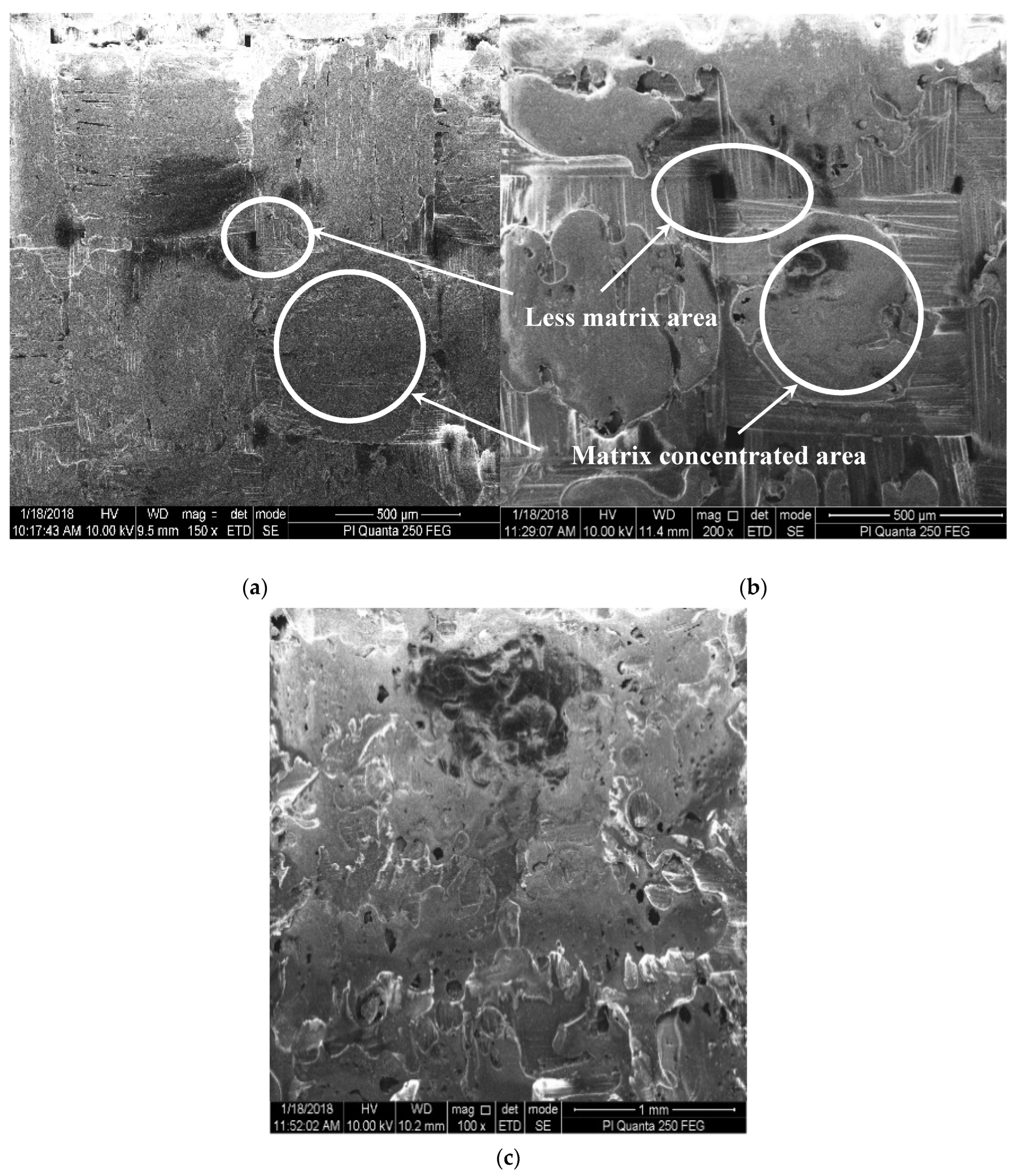 Polymers 12 02814 g003 Polymers 12 02814 g003
