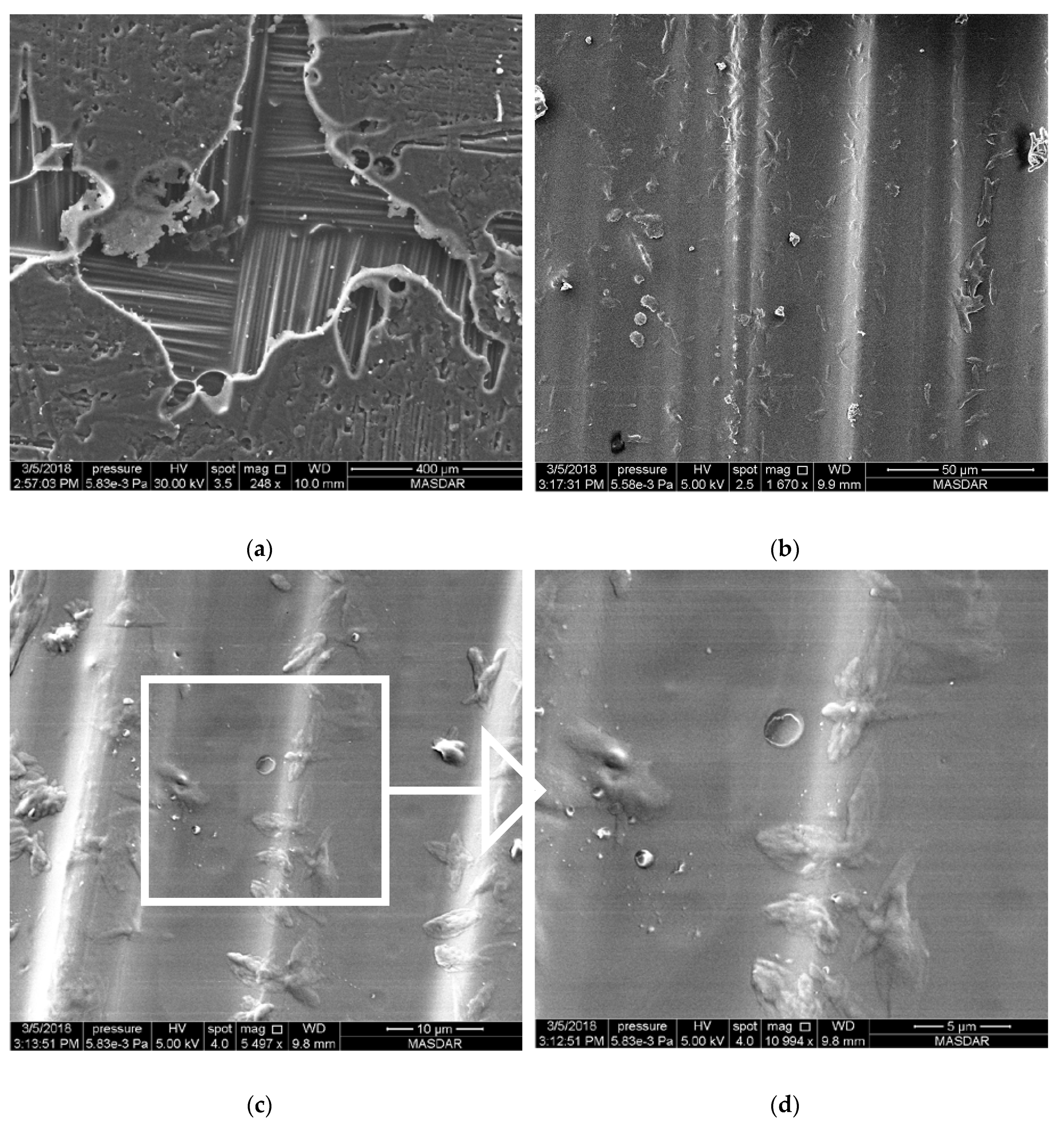 Polymers 12 02814 g004 Polymers 12 02814 g004