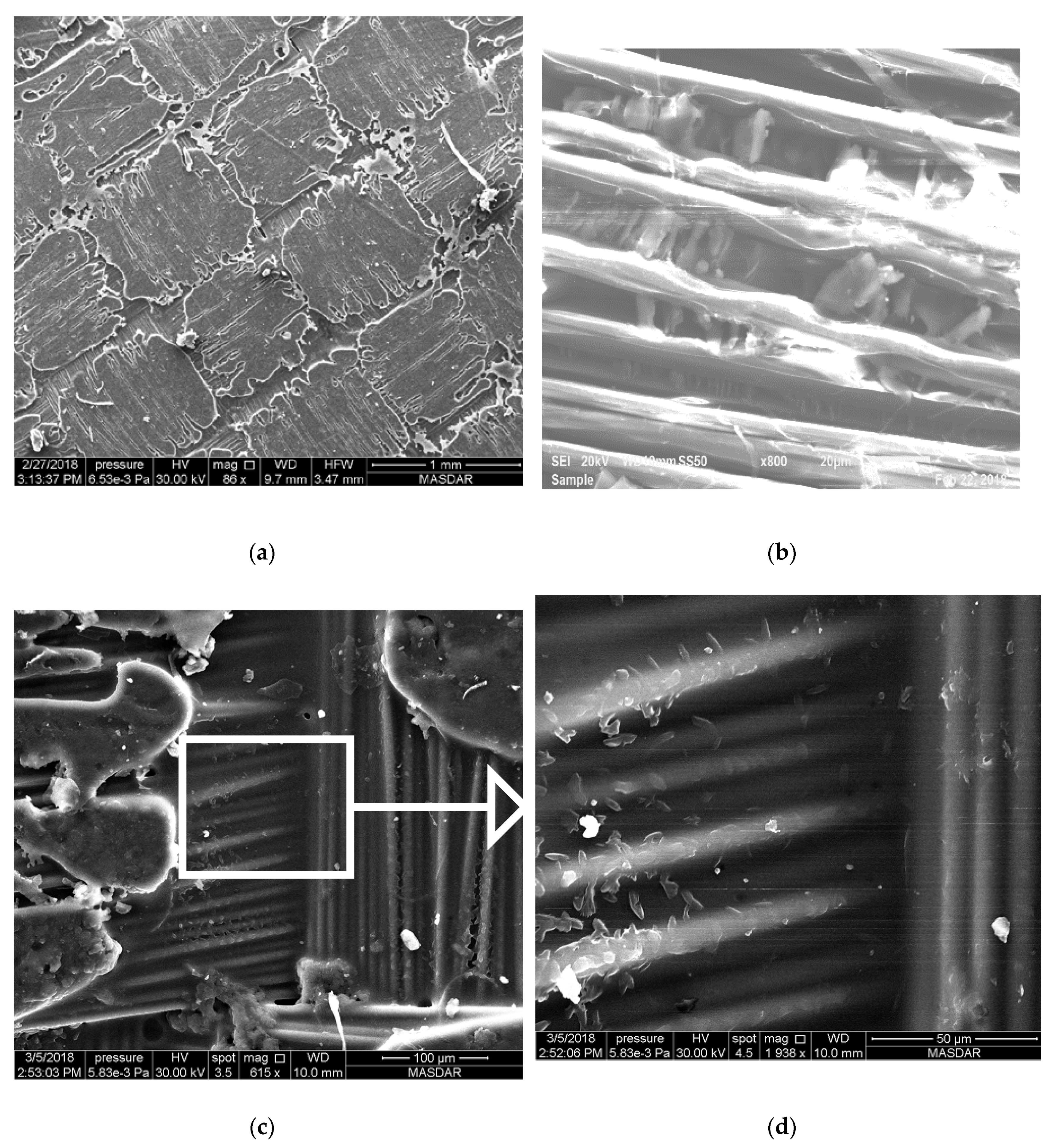 Polymers 12 02814 g005 Polymers 12 02814 g005