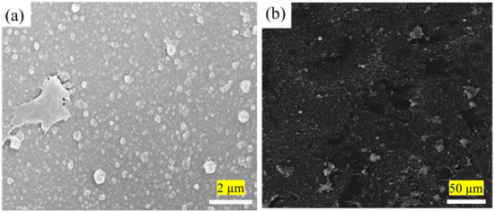 Polymers 12 02817 g003 550