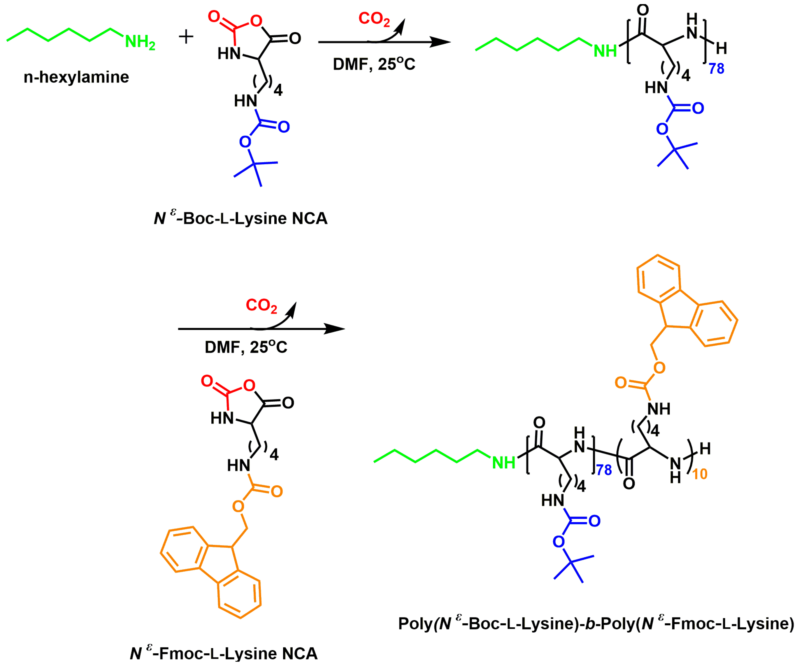 Polymers 12 02819 sch004