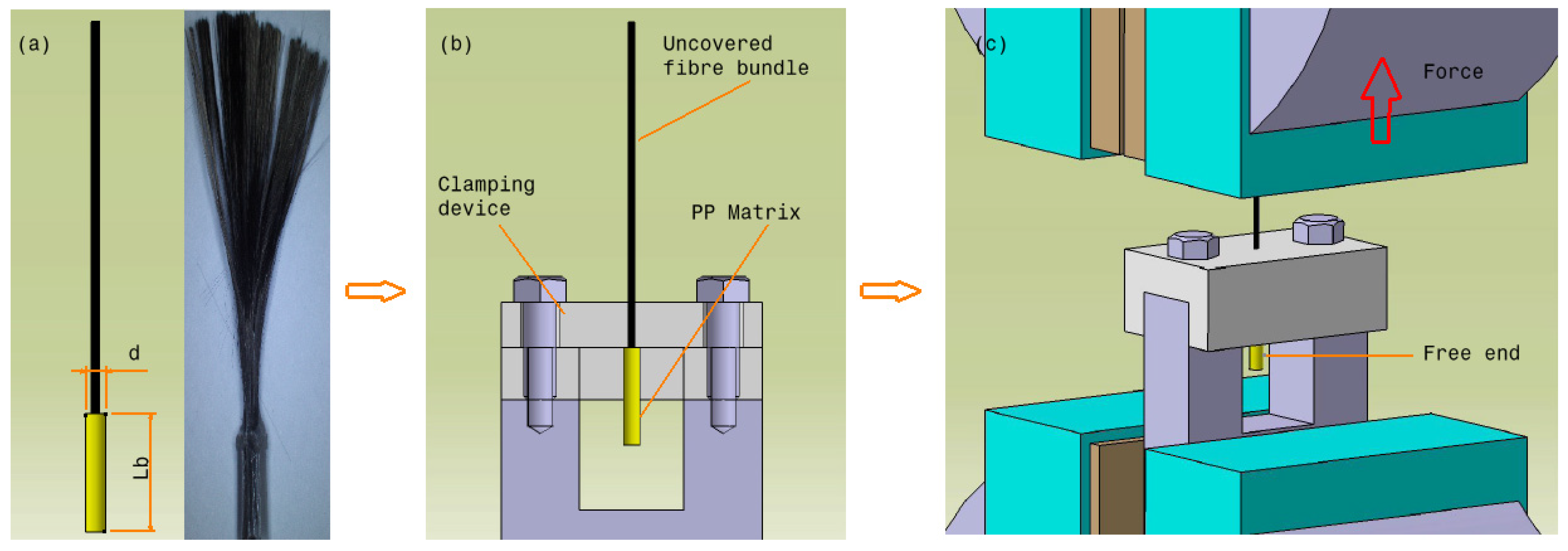 Polymers 12 02833 g006