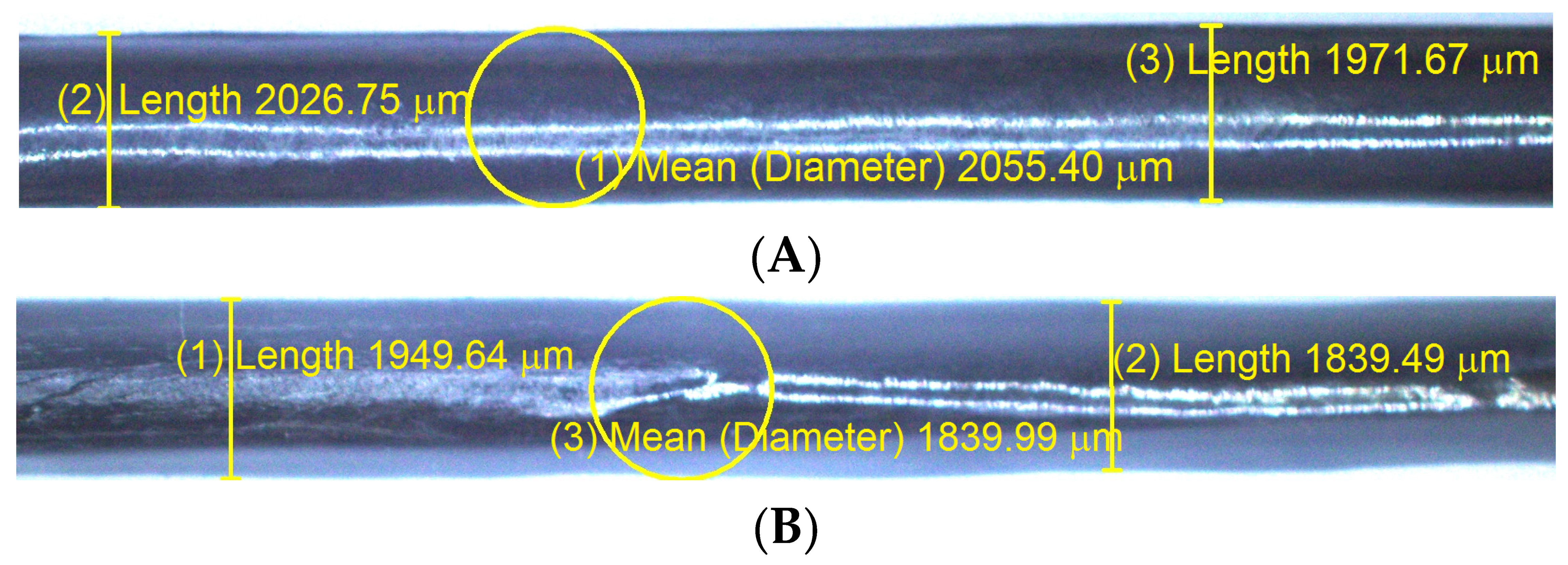 Polymers 12 02833 g018