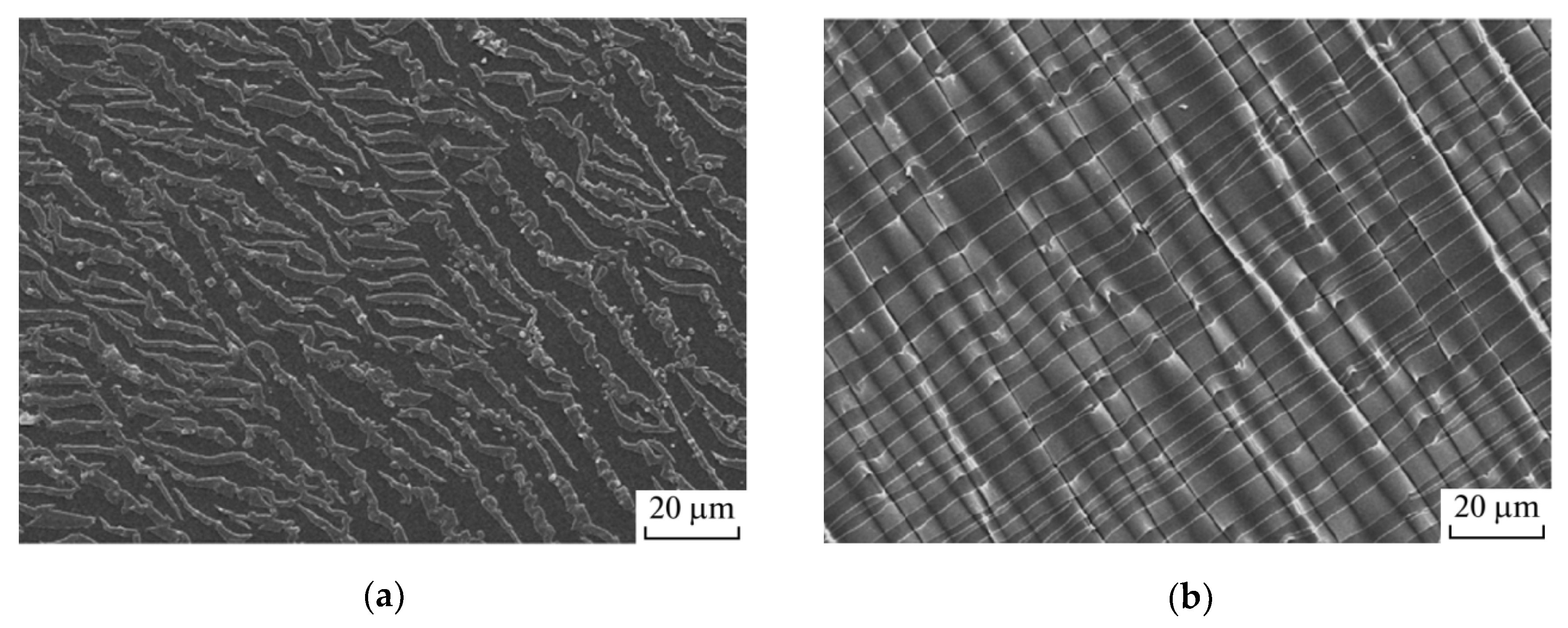 Polymers 12 02836 g005