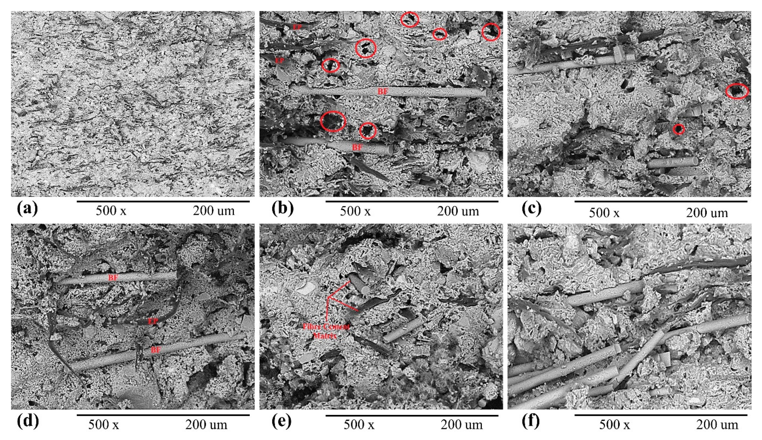 Polymers 12 02837 g007 Polymers 12 02837 g007