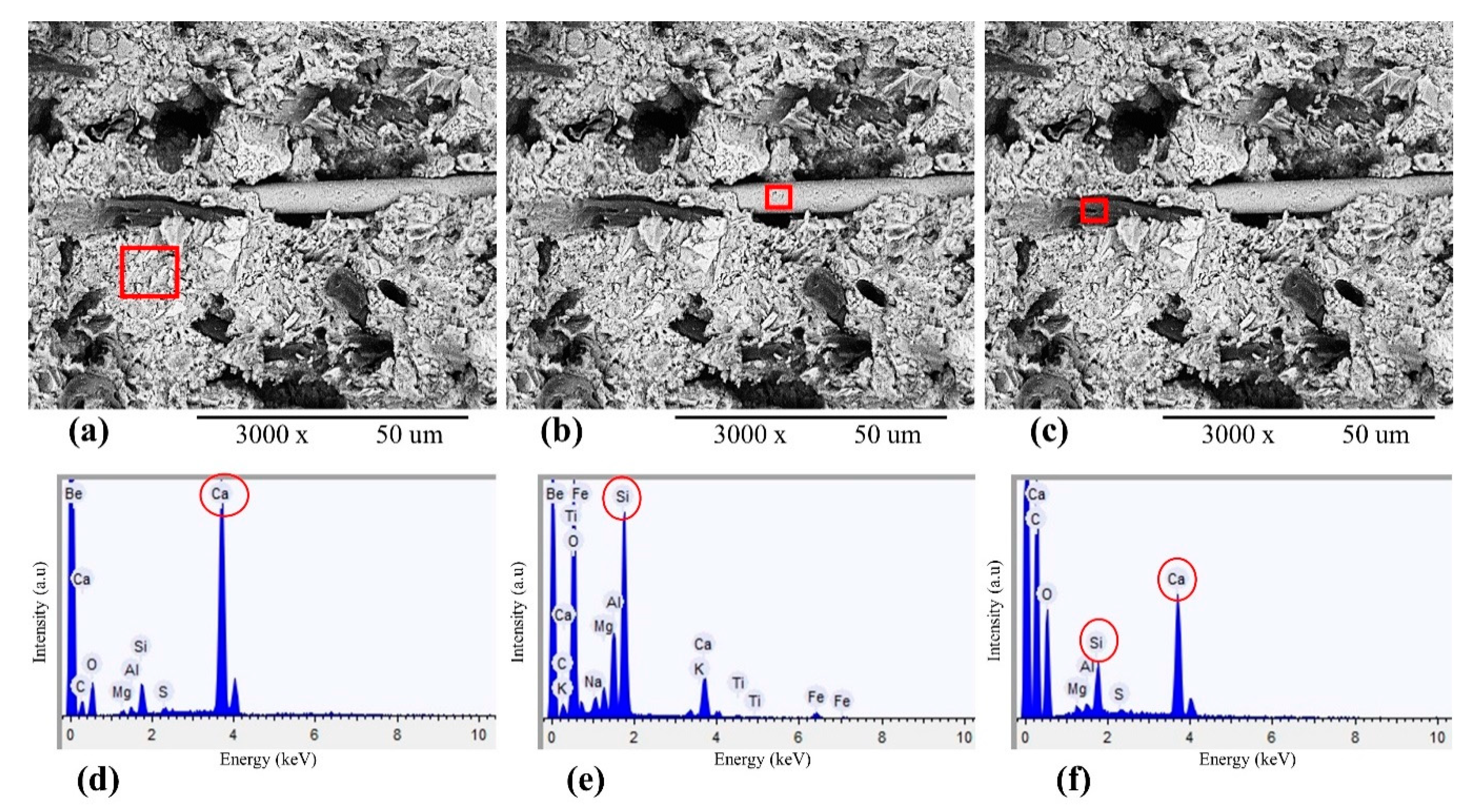 Polymers 12 02837 g009 Polymers 12 02837 g009