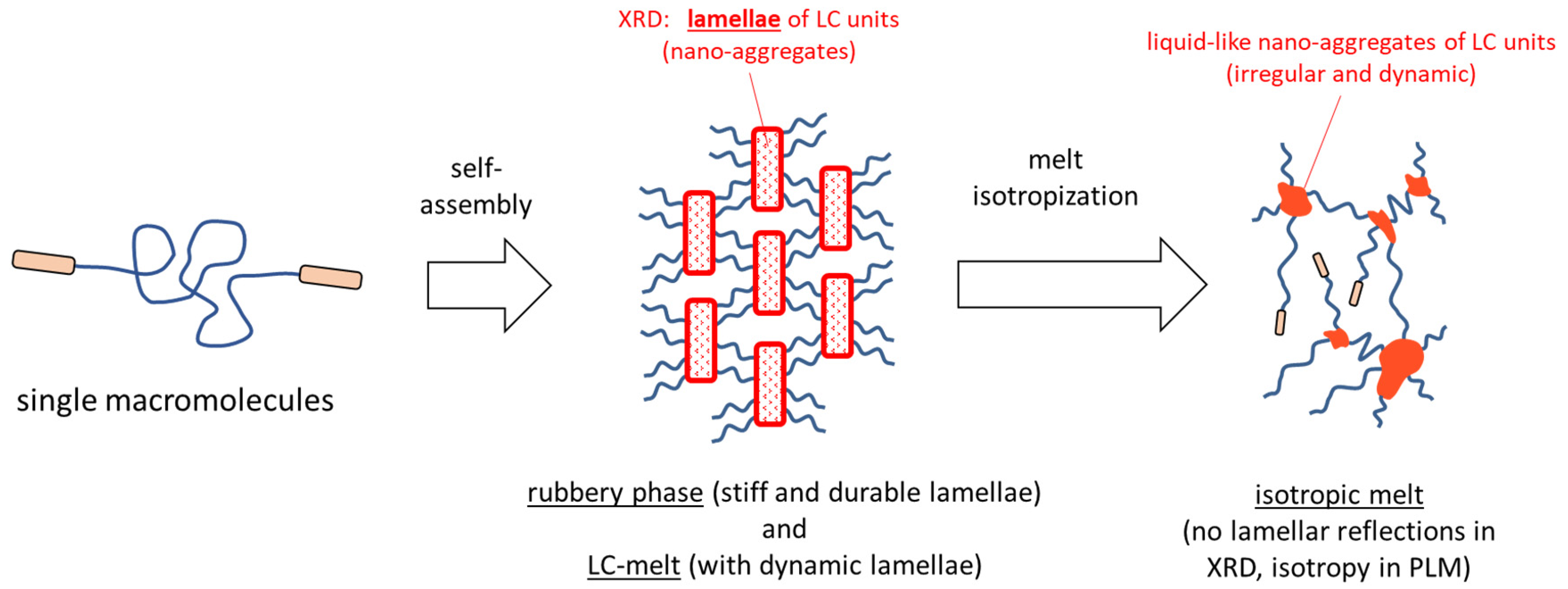 Polymers 12 02840 sch002