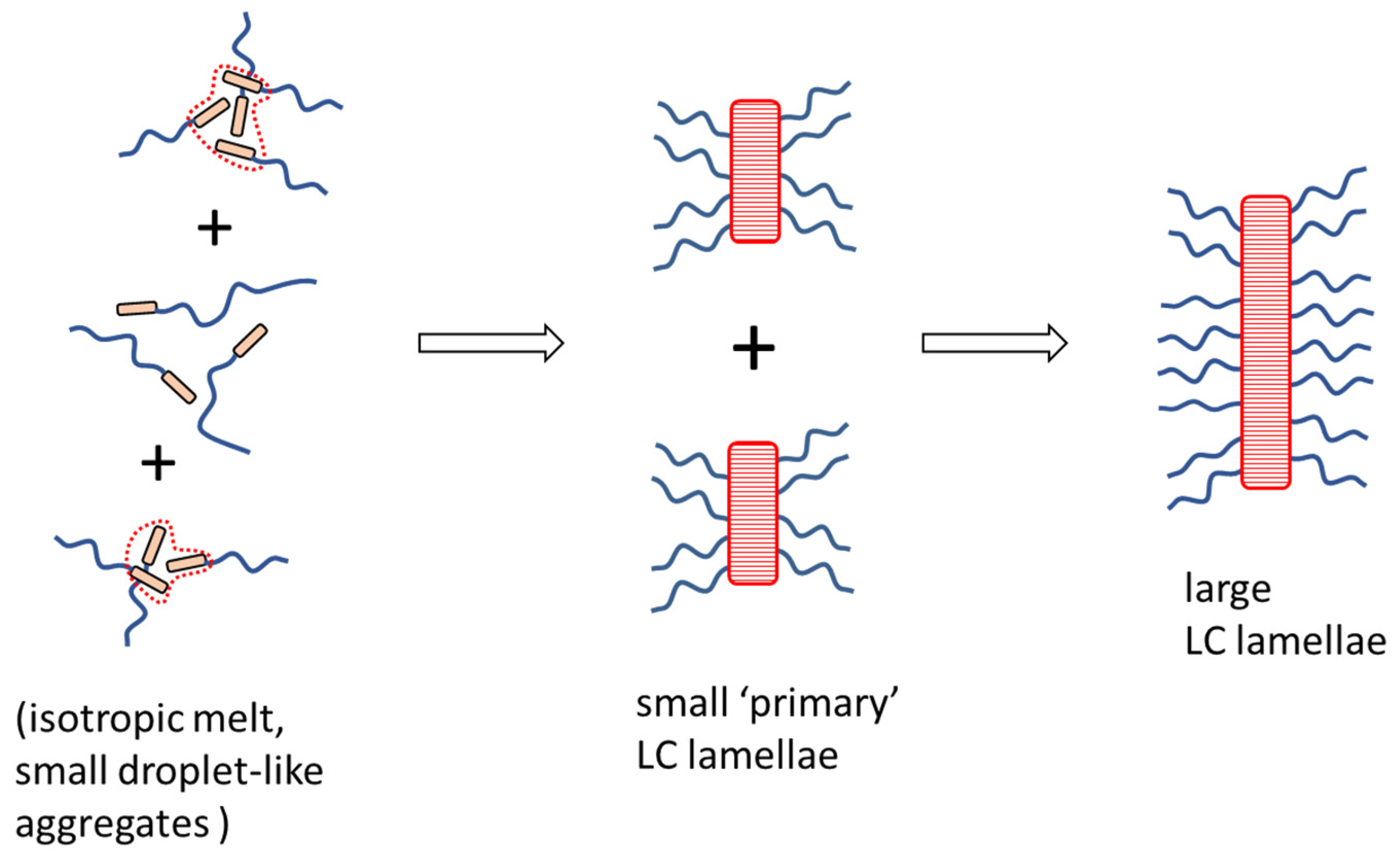 Polymers 12 02840 sch009