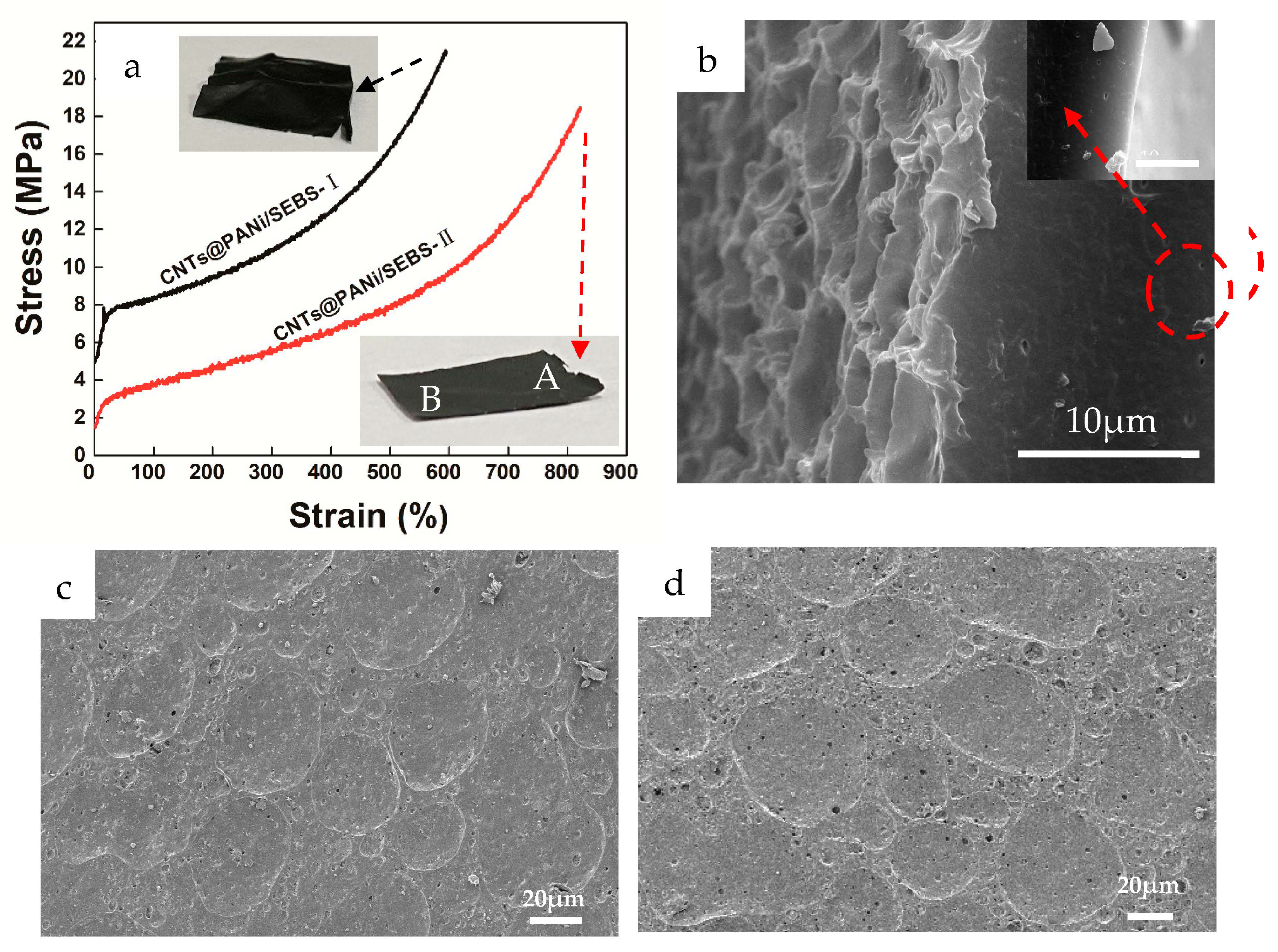 Polymers 12 02847 g005 550