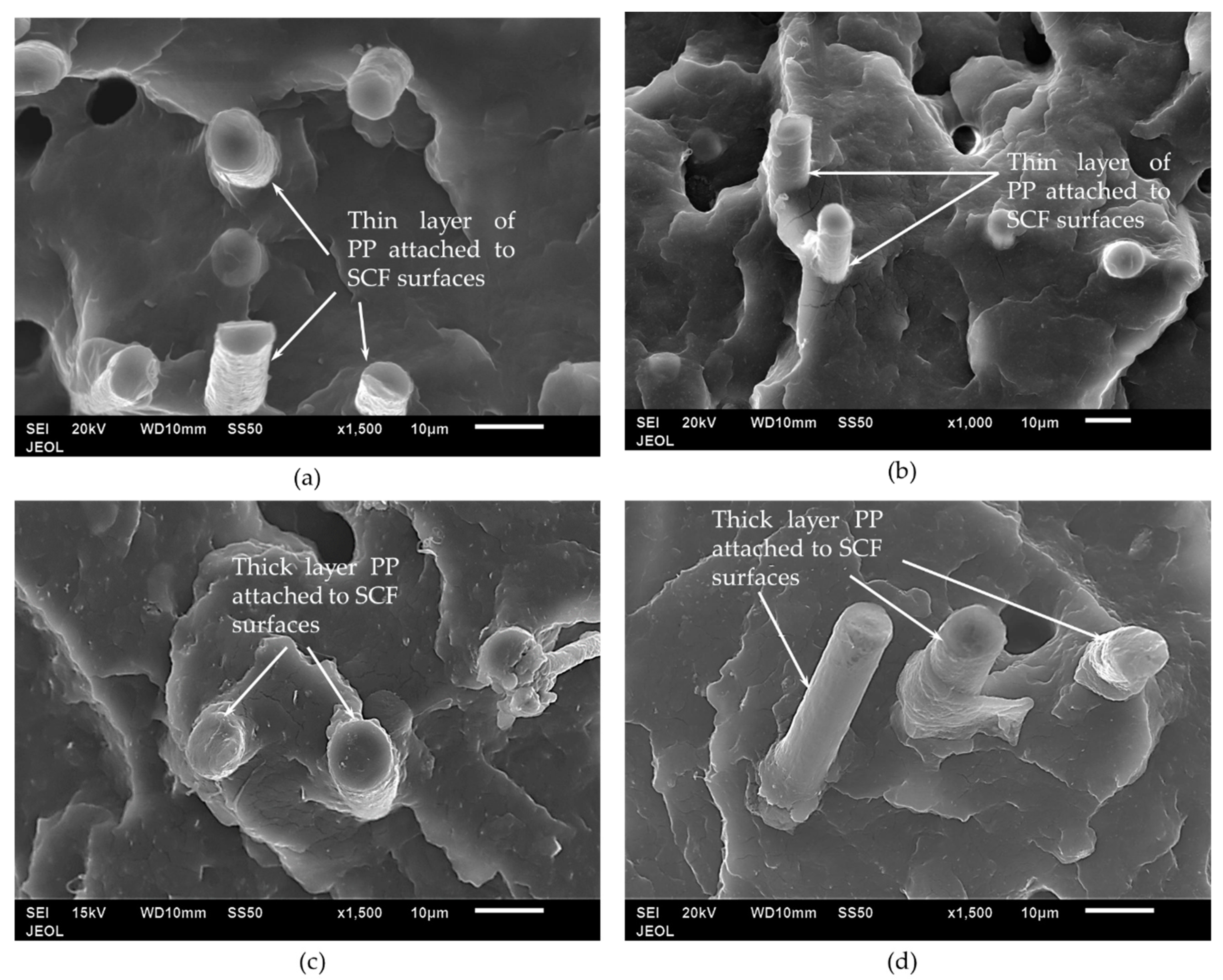 Polymers 12 02851 g007