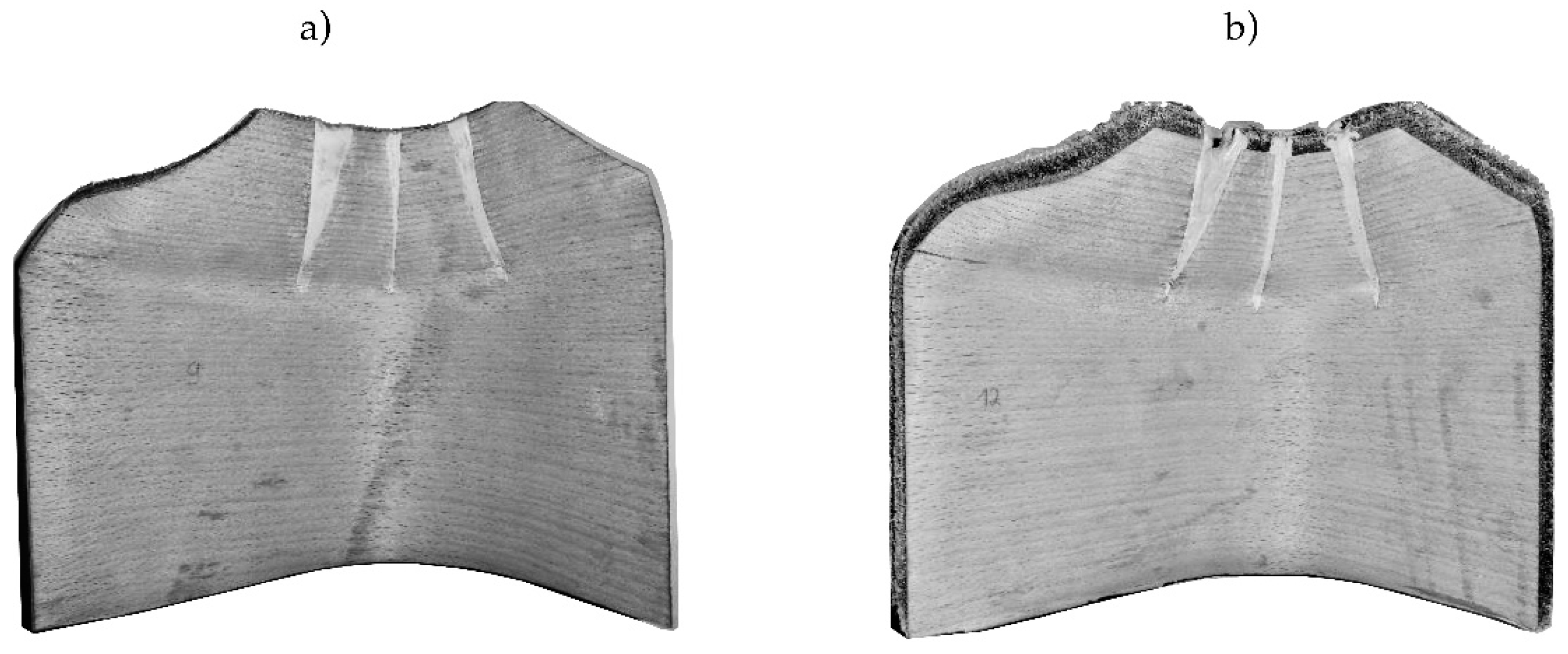 Polymers 12 02852 g004