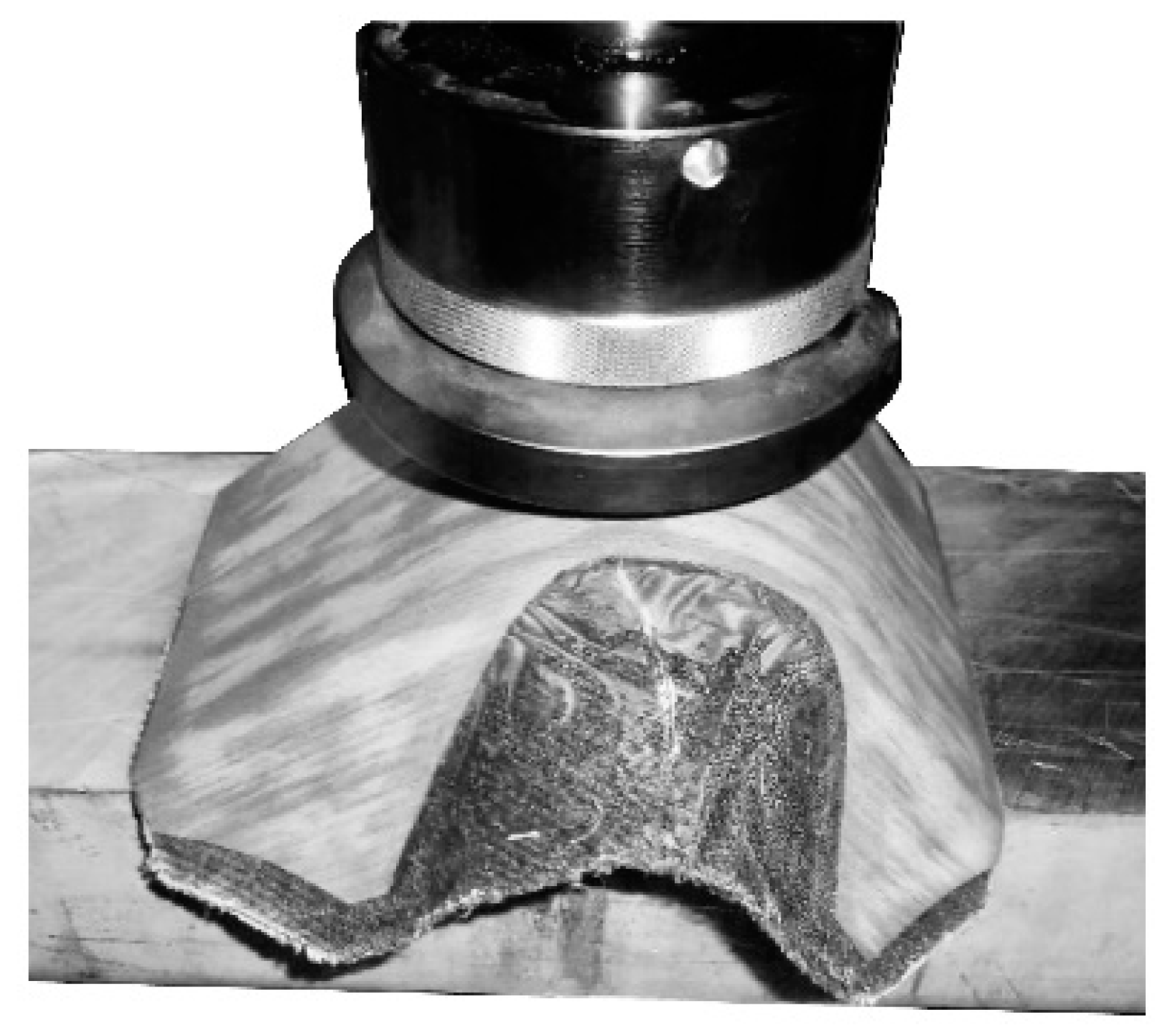 Polymers 12 02852 g005