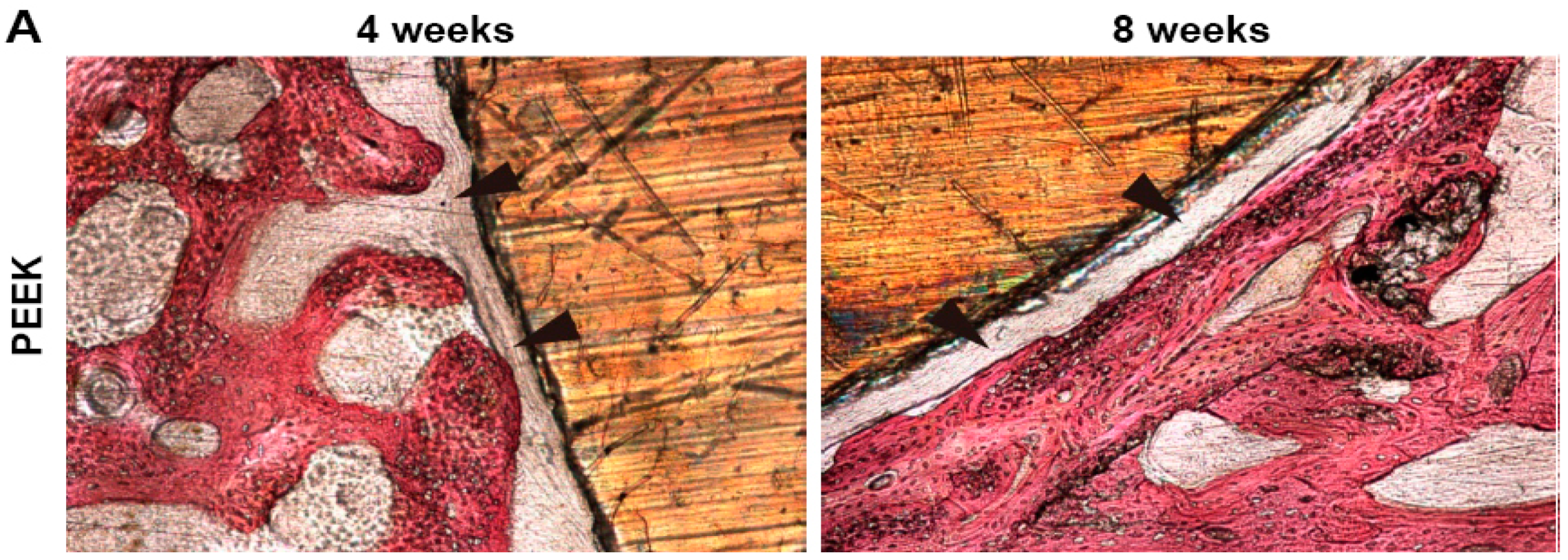 Polymers 12 02858 g018a