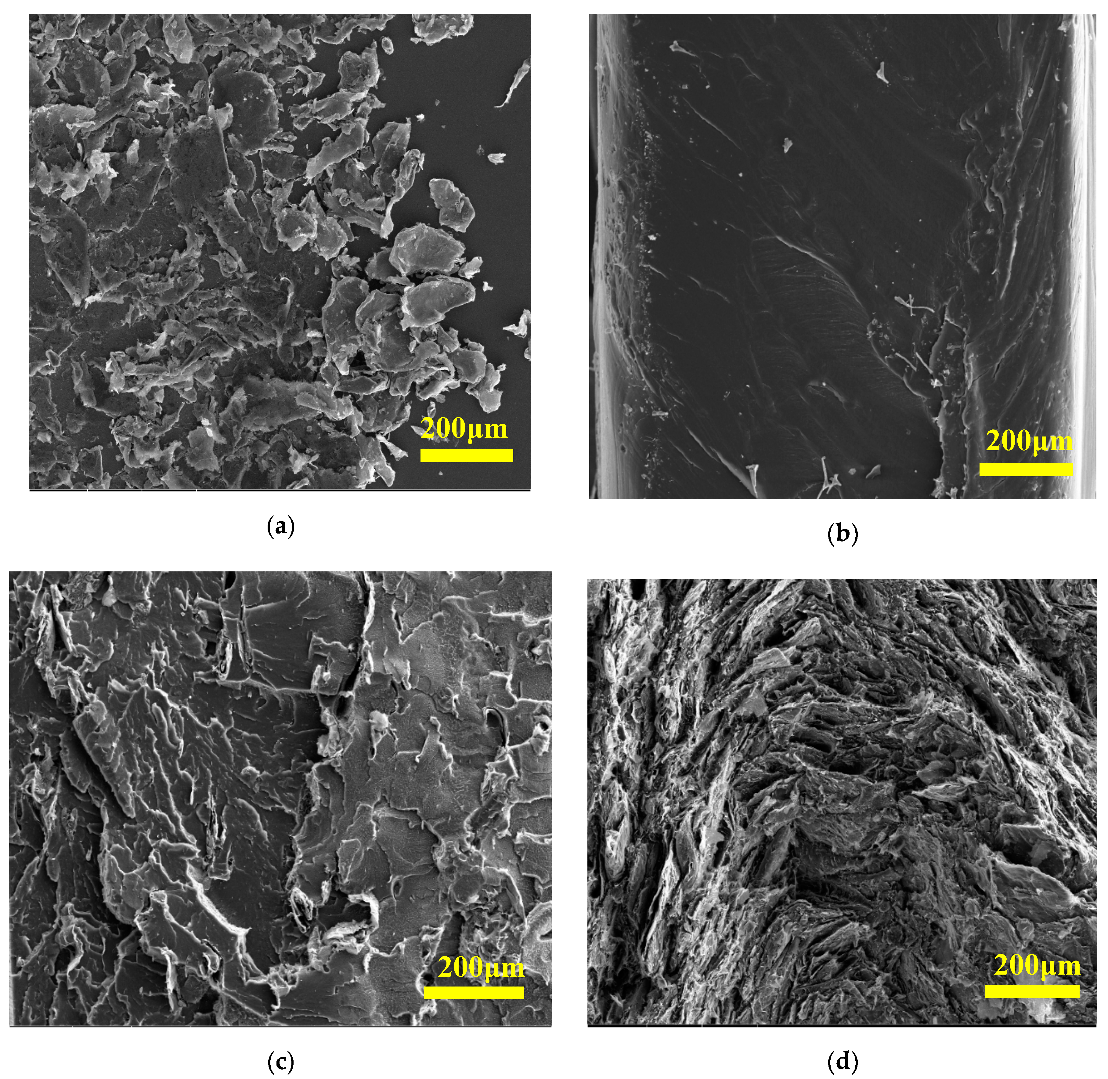 Polymers 12 02863 g001