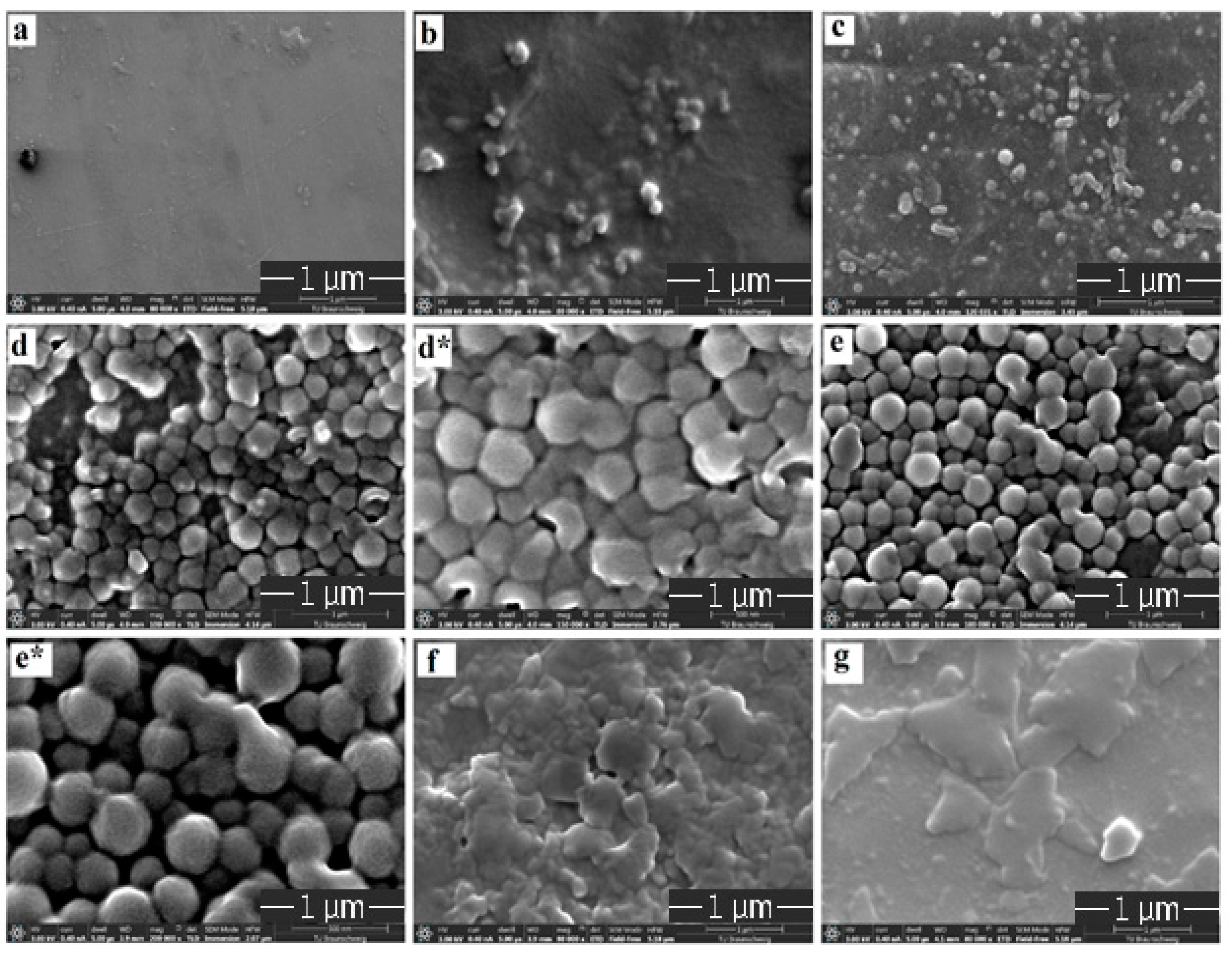 Polymers 12 02870 g001