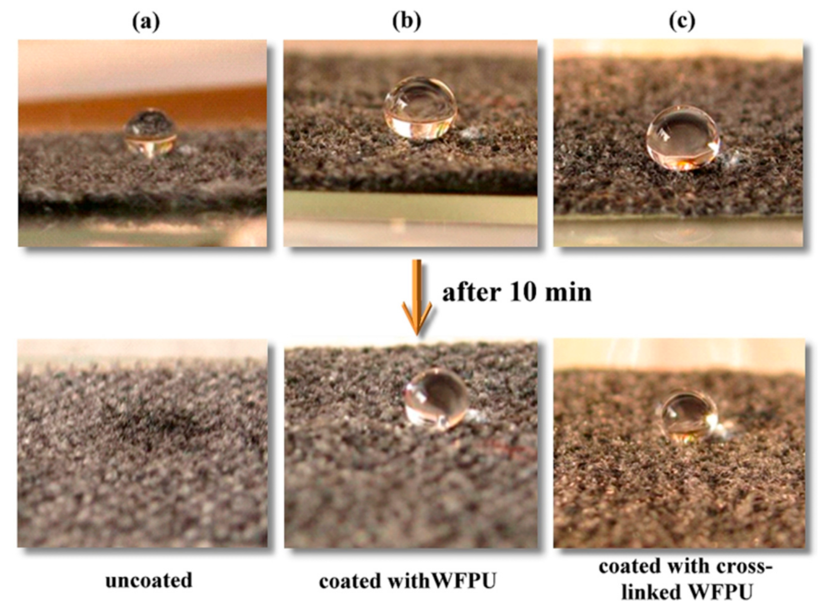 Polymers 12 02875 g009 Polymers 12 02875 g009