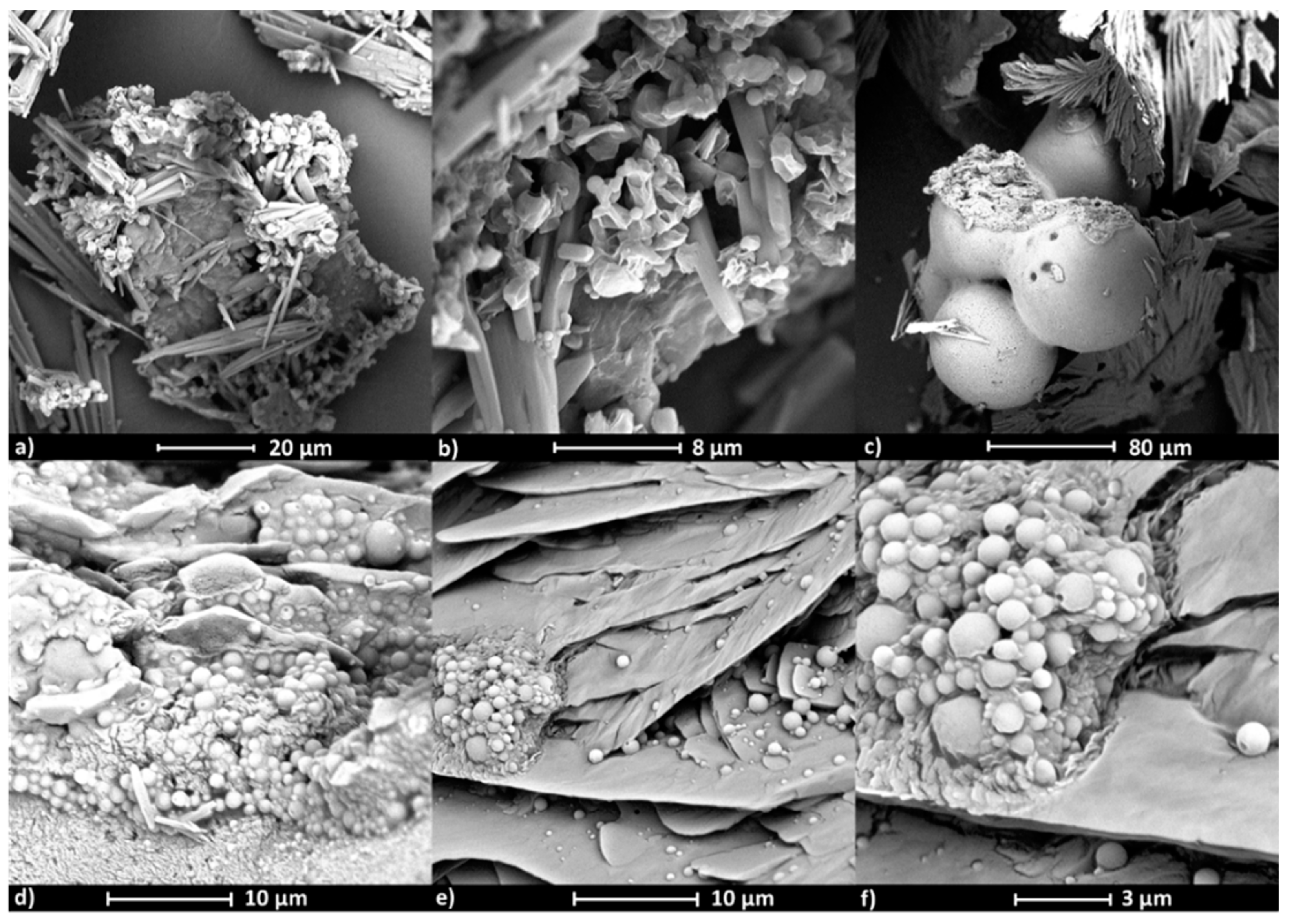 Polymers 12 02876 g008