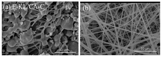 Polymers 12 02884 g012 550