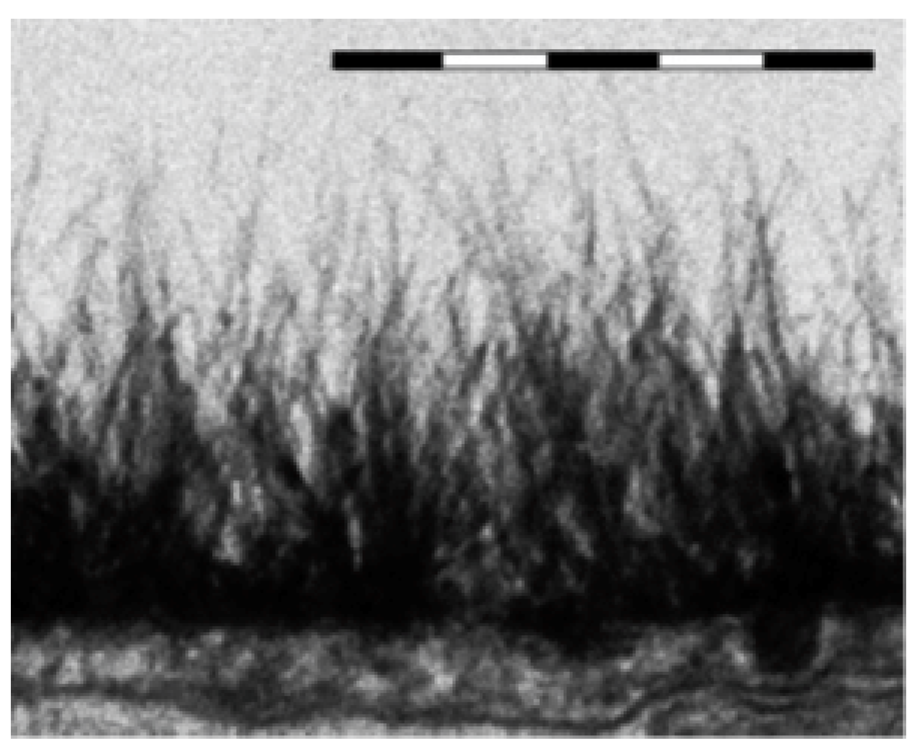 Polymers 12 02888 g014