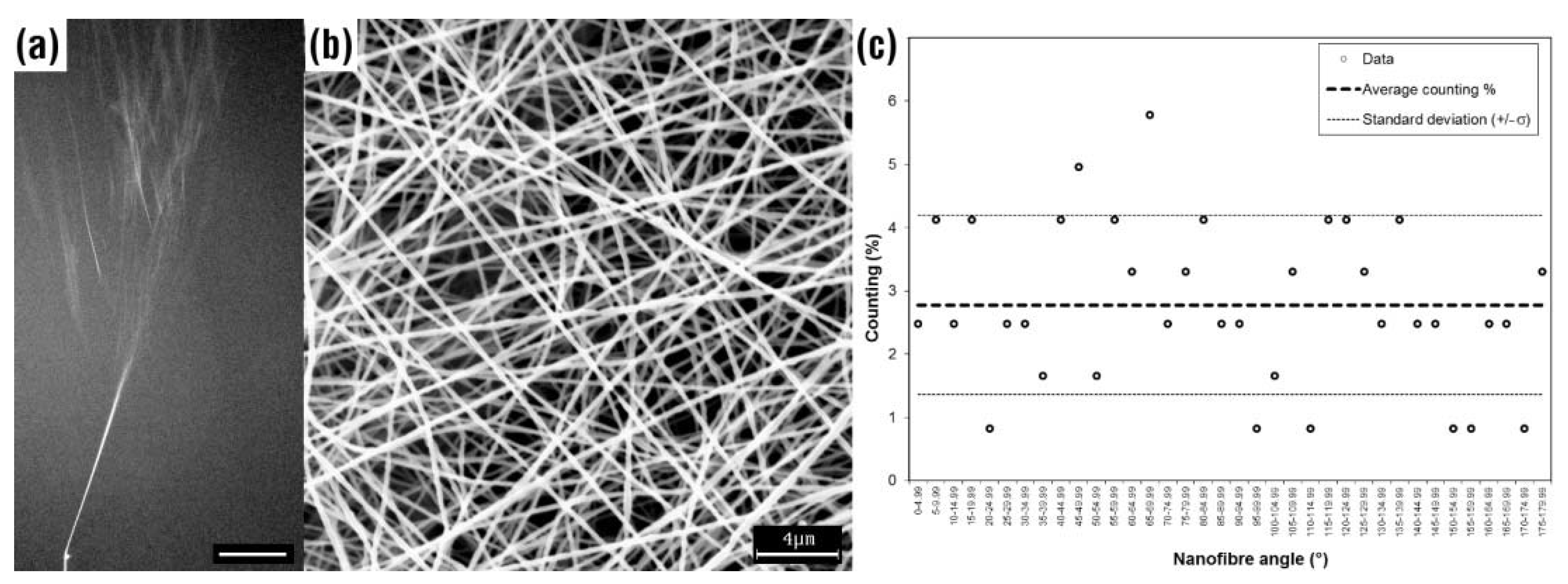 Polymers 12 02896 g001 Polymers 12 02896 g001
