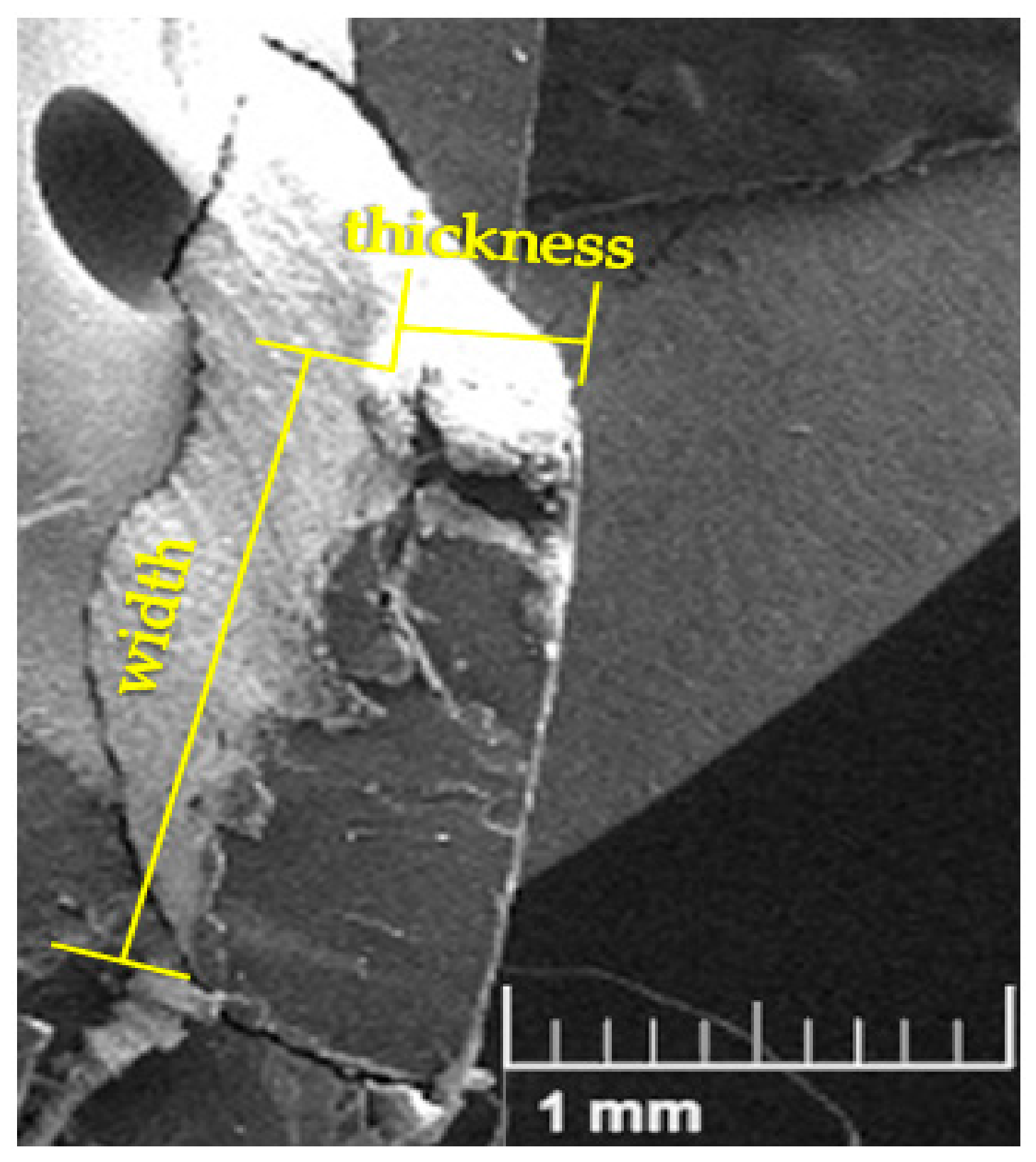 Polymers 12 02899 g004