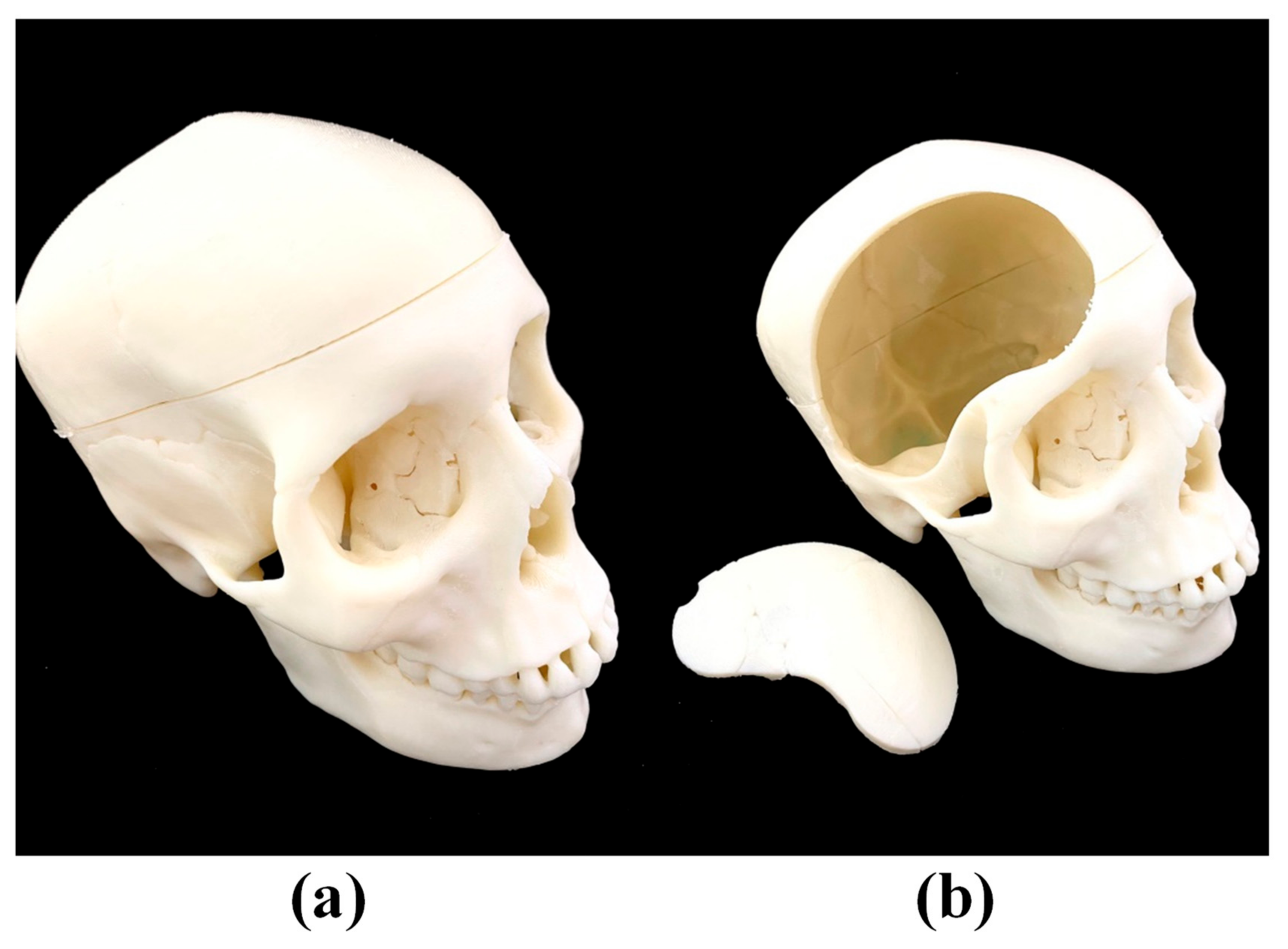 Polymers 12 02901 g003