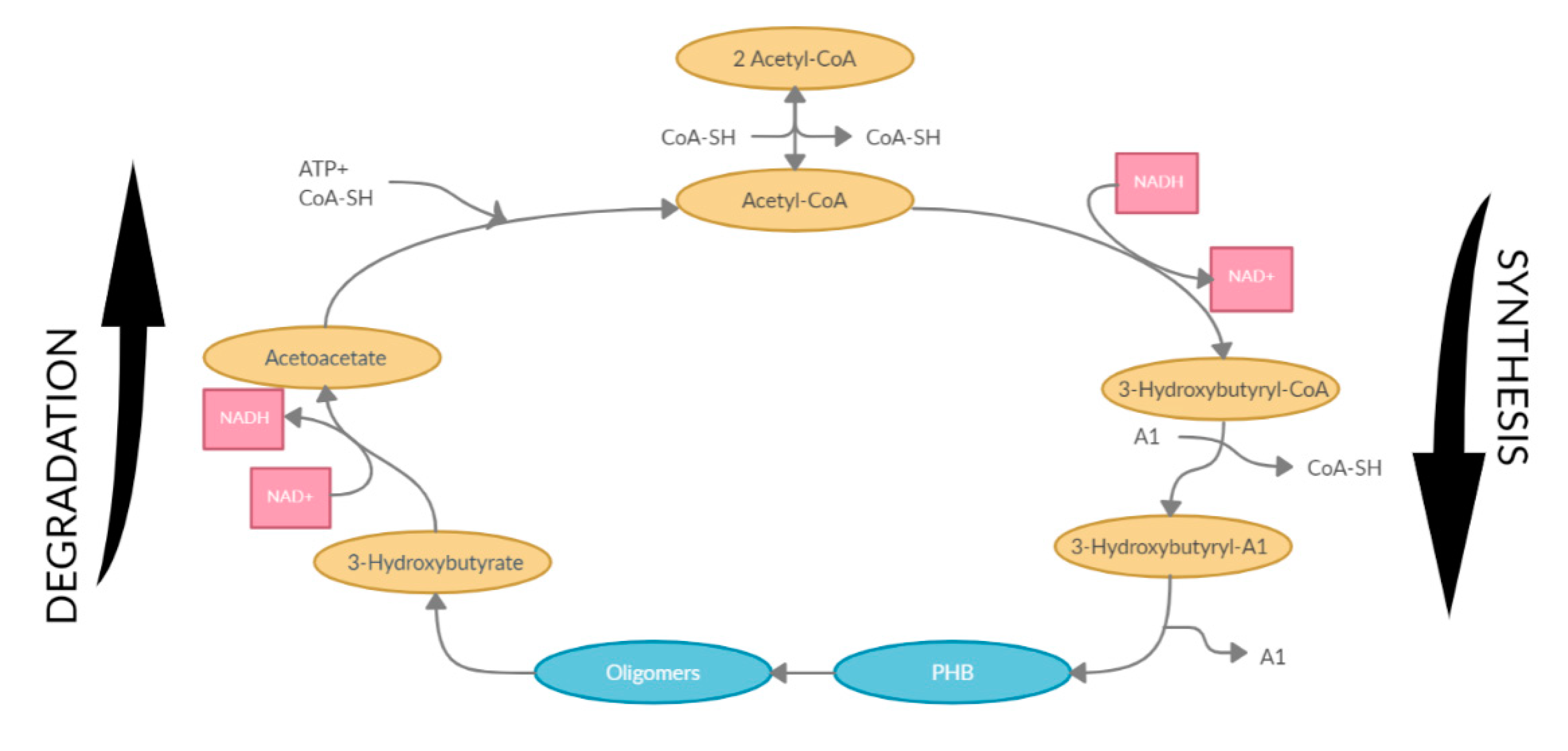 Polymers 12 02908 g003