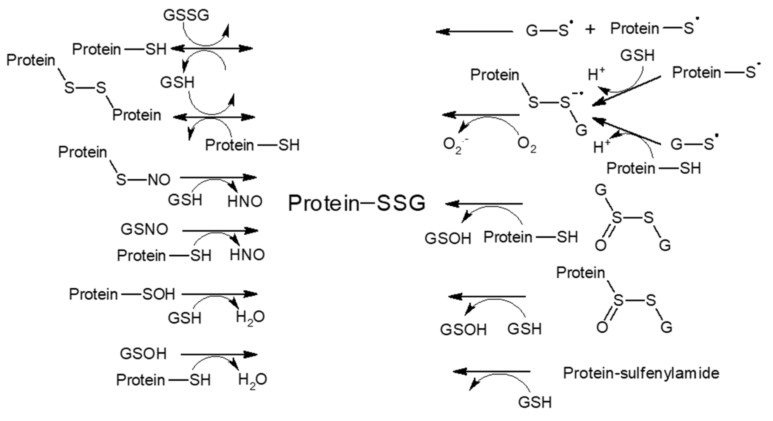 Polymers 12 02909 sch001