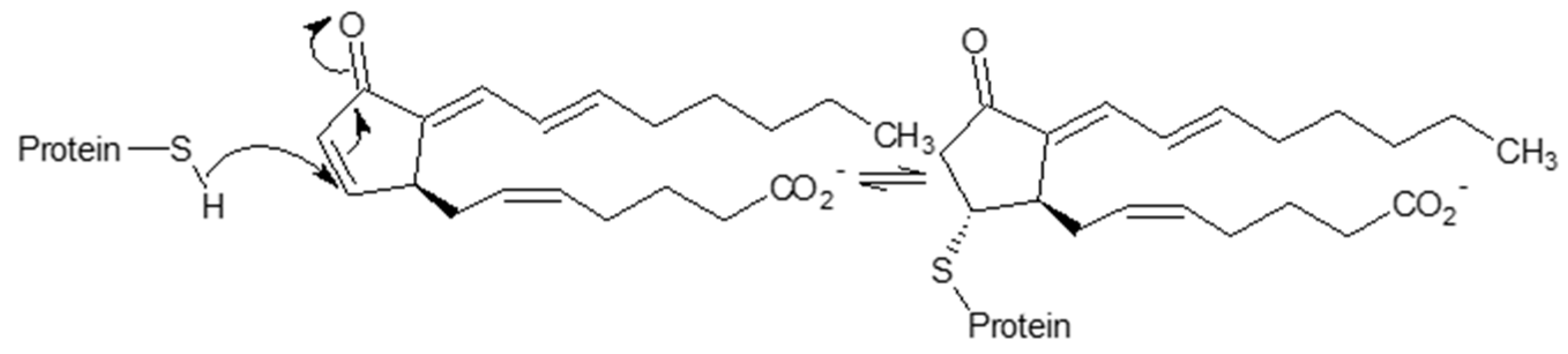 Polymers 12 02909 sch002