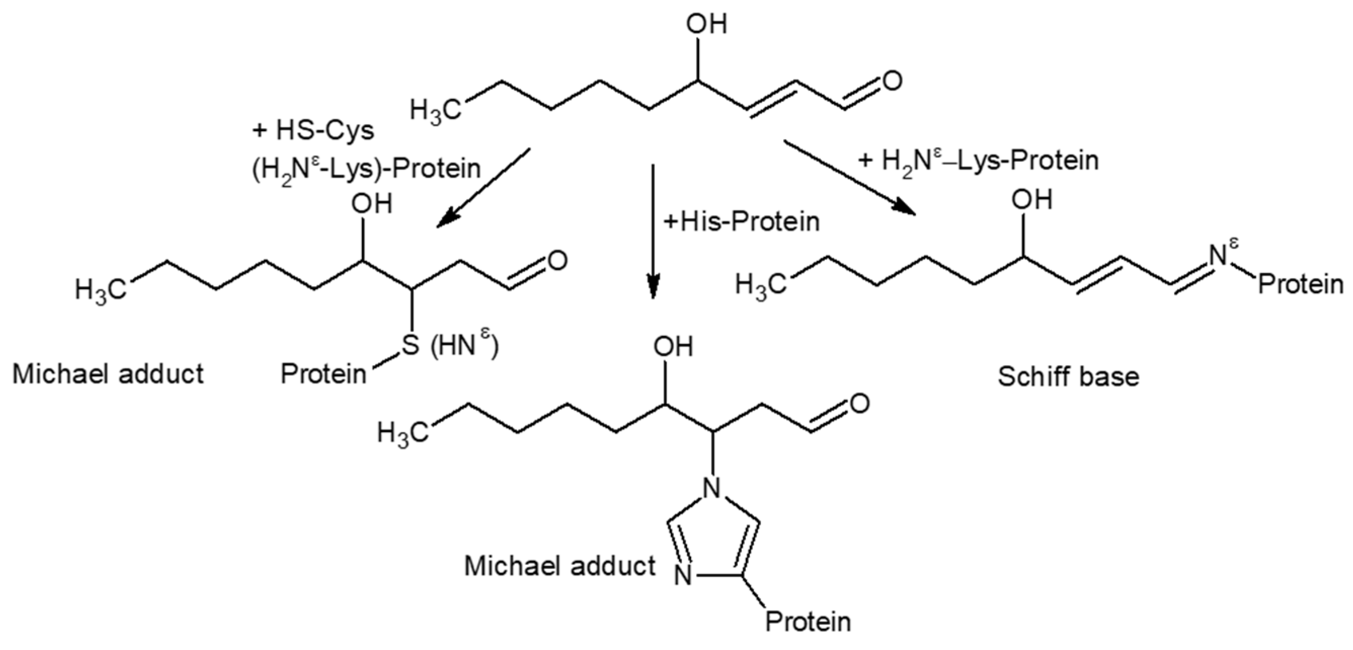 Polymers 12 02909 sch003