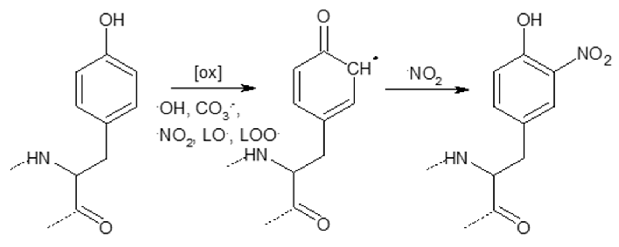 Polymers 12 02909 sch005