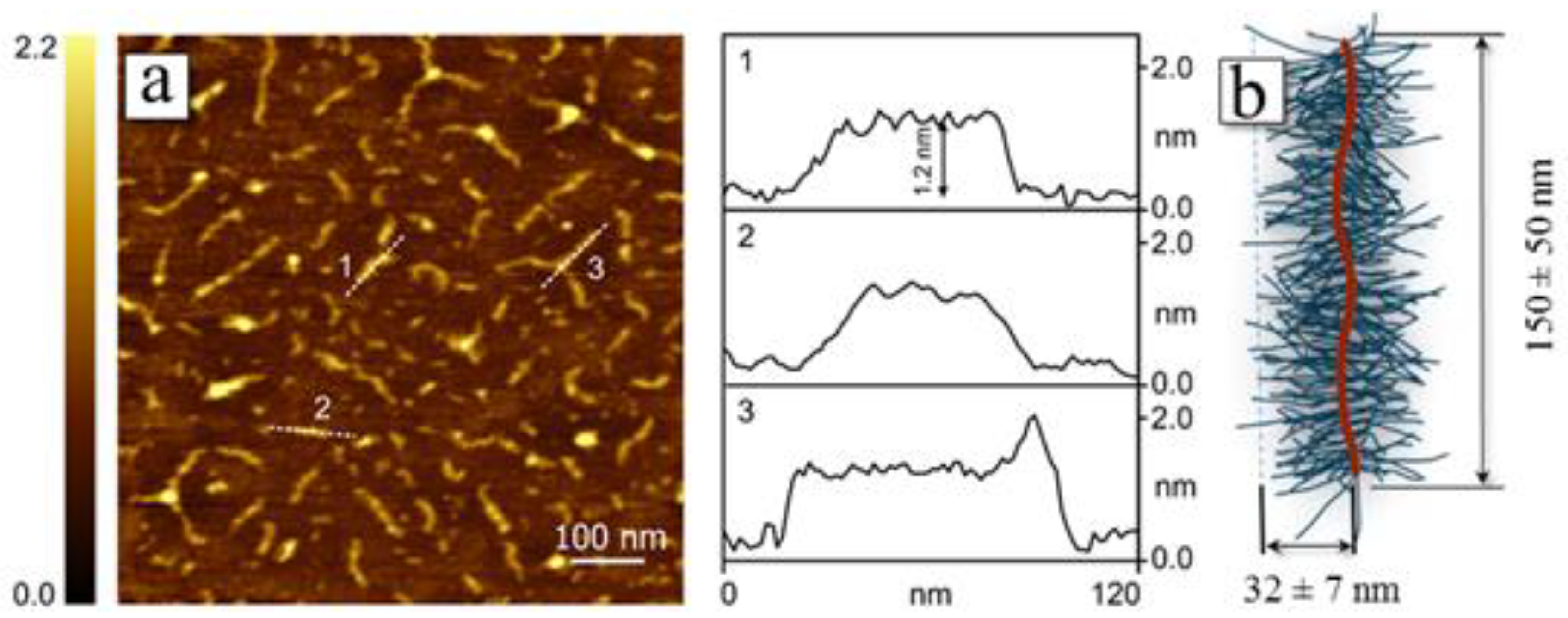Polymers 12 02922 g003