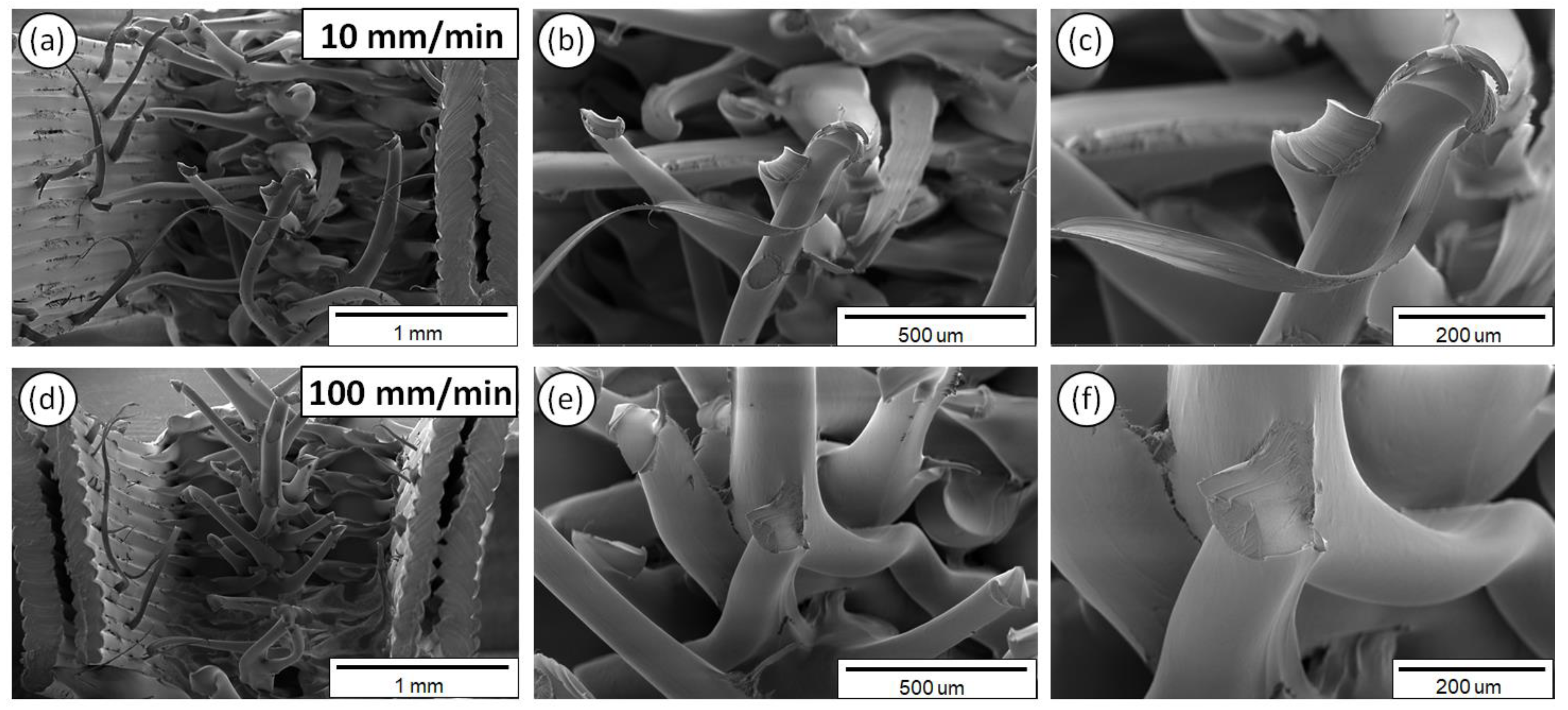 Polymers 12 02924 g011
