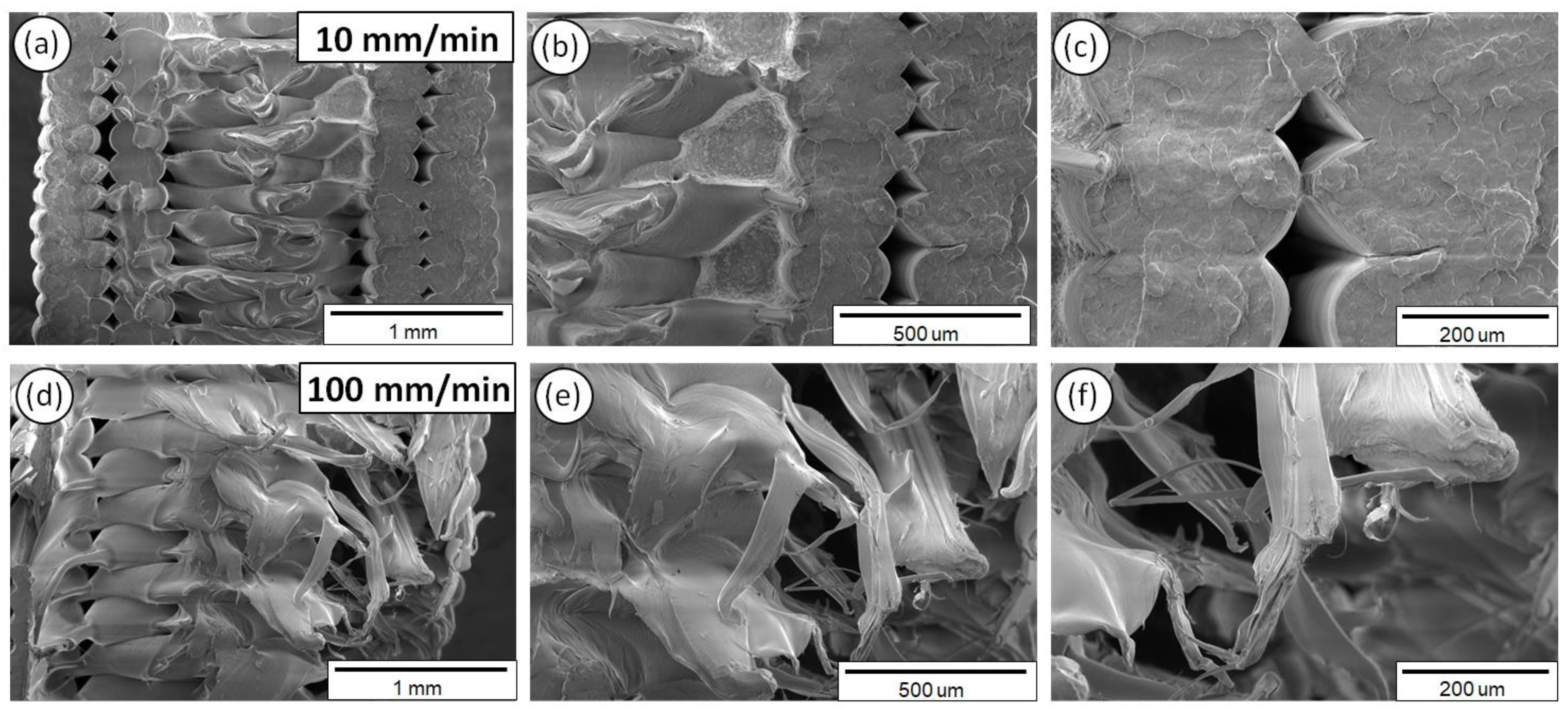 Polymers 12 02924 g012
