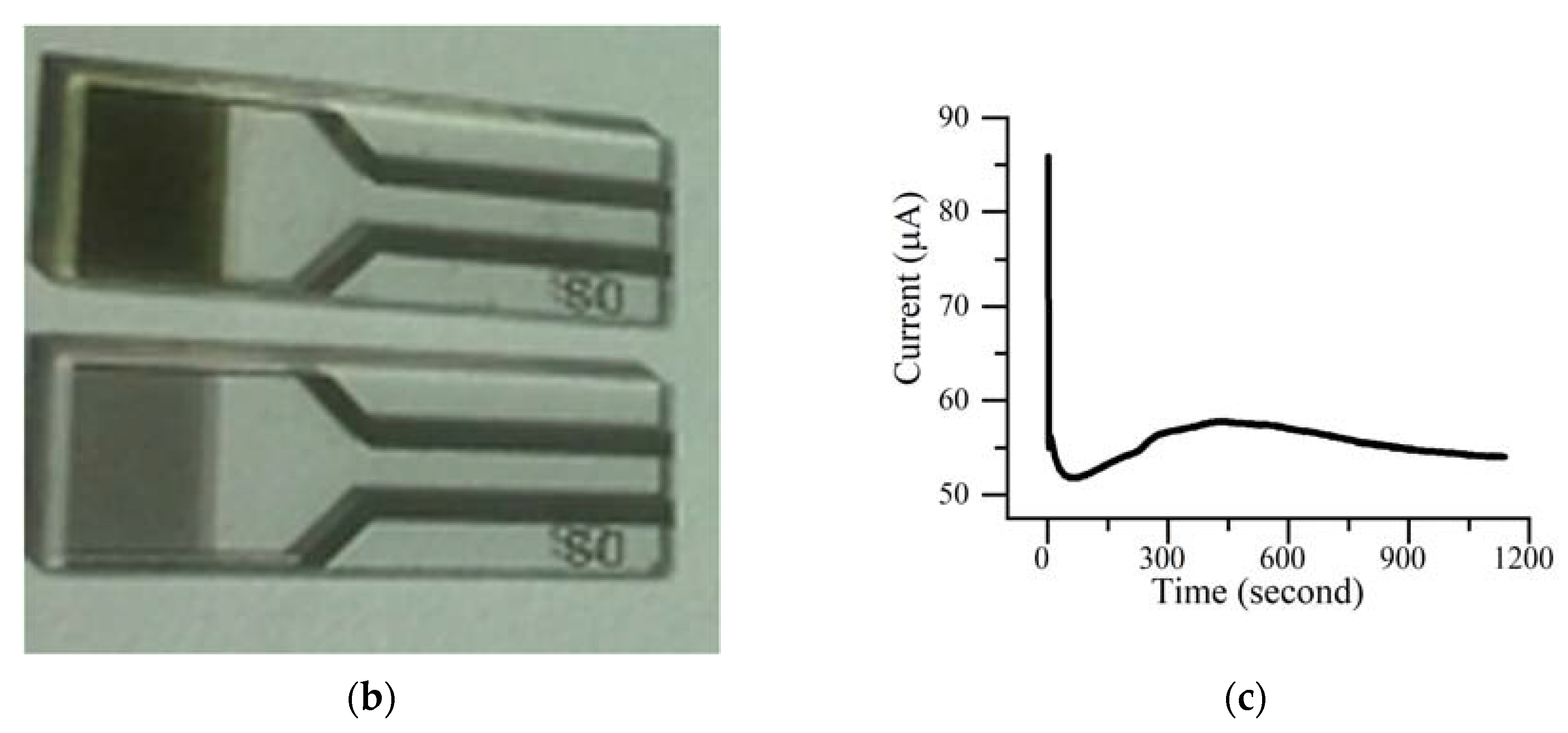 Polymers 12 02925 g001b