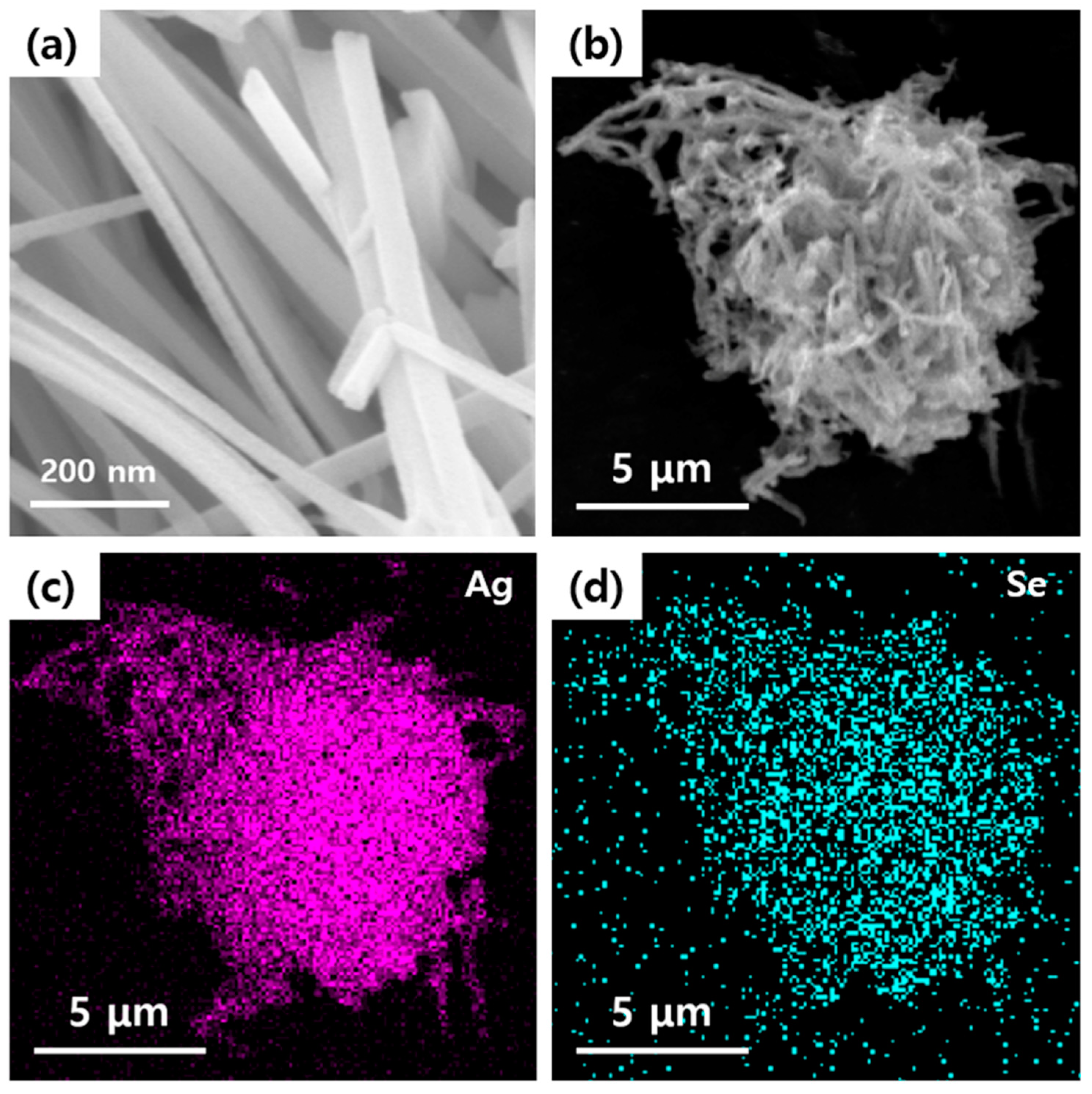 Polymers 12 02932 g001 Polymers 12 02932 g001