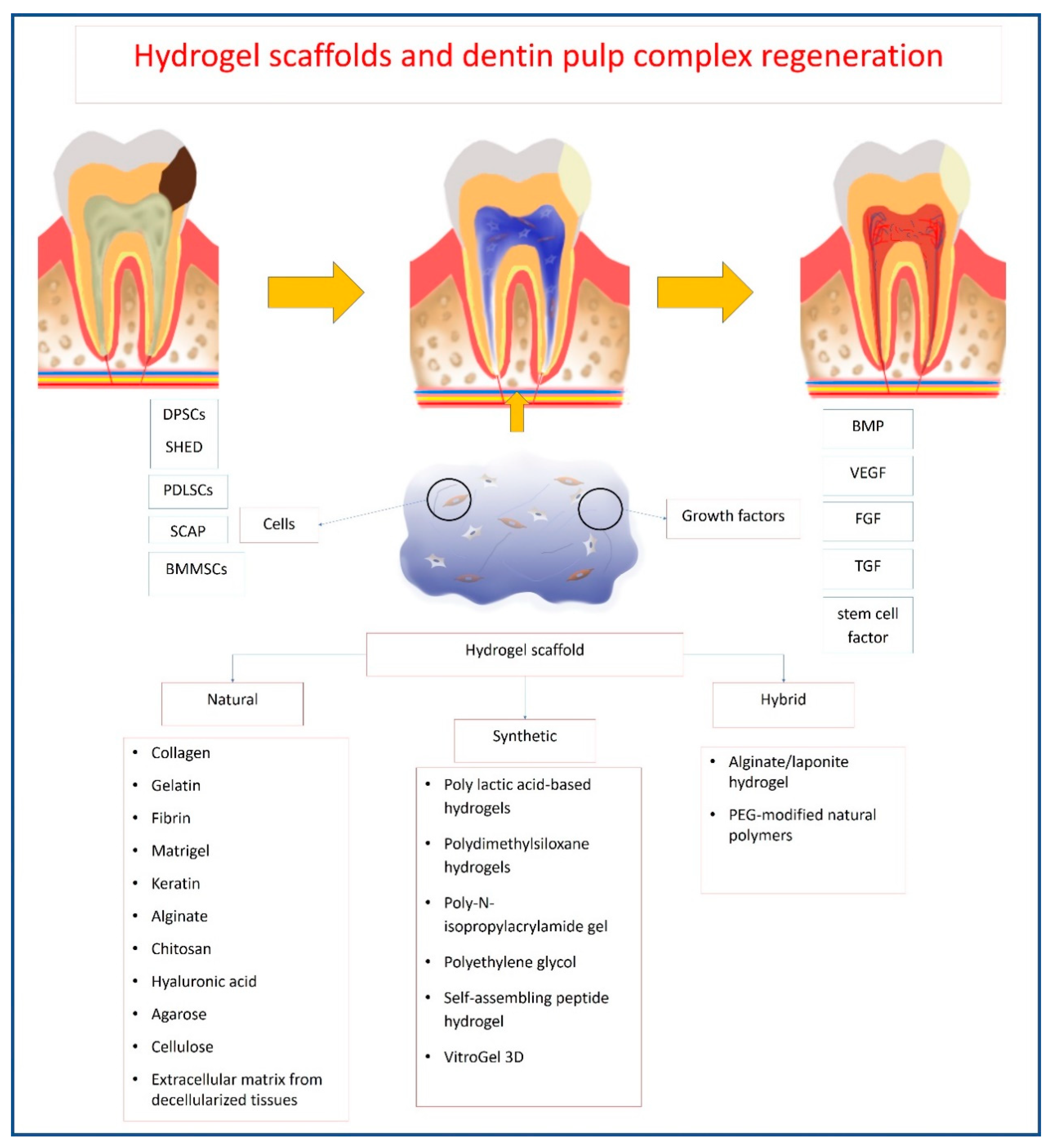 Polymers 12 02935 g003
