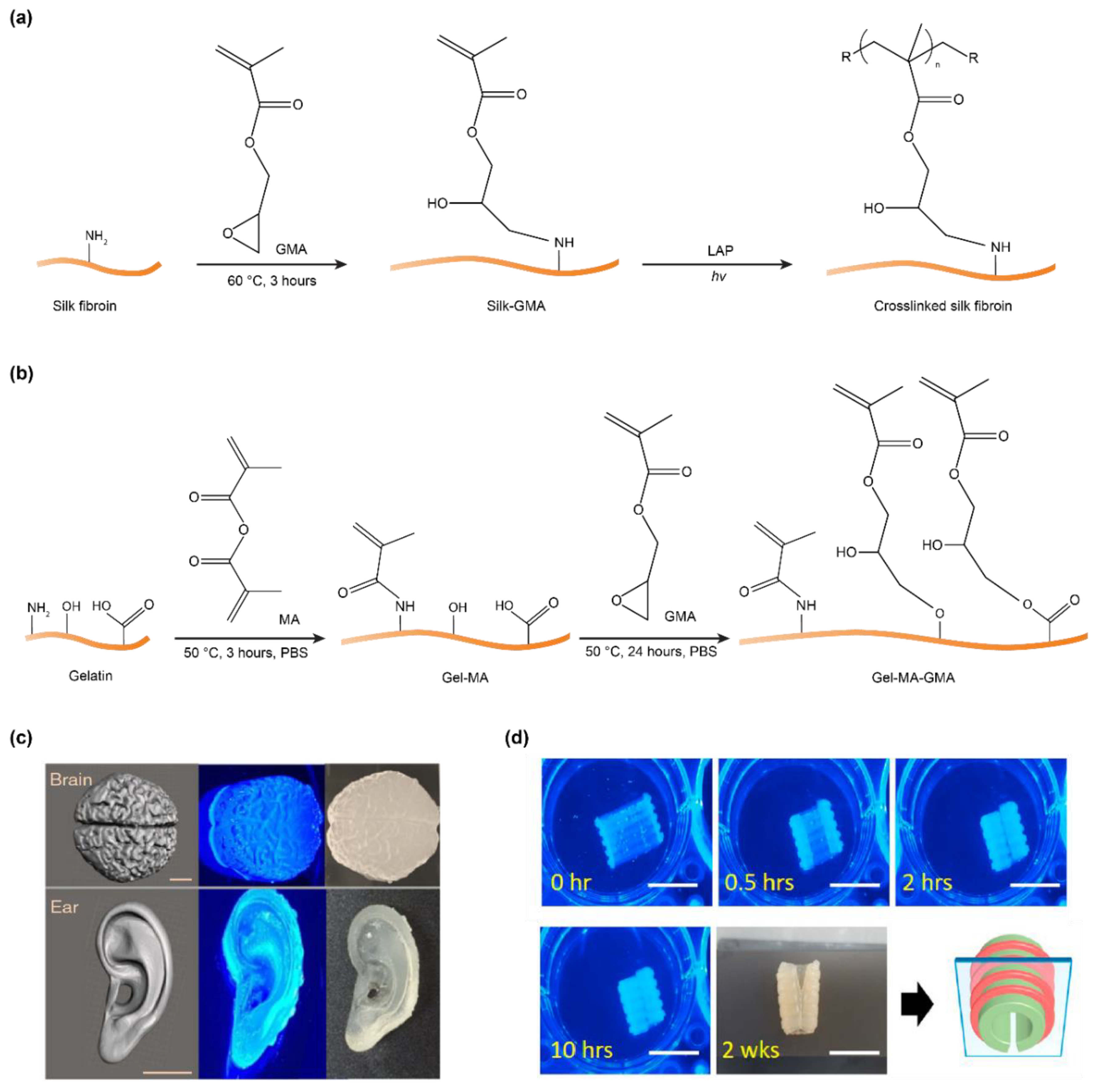 Polymers 12 02936 g005