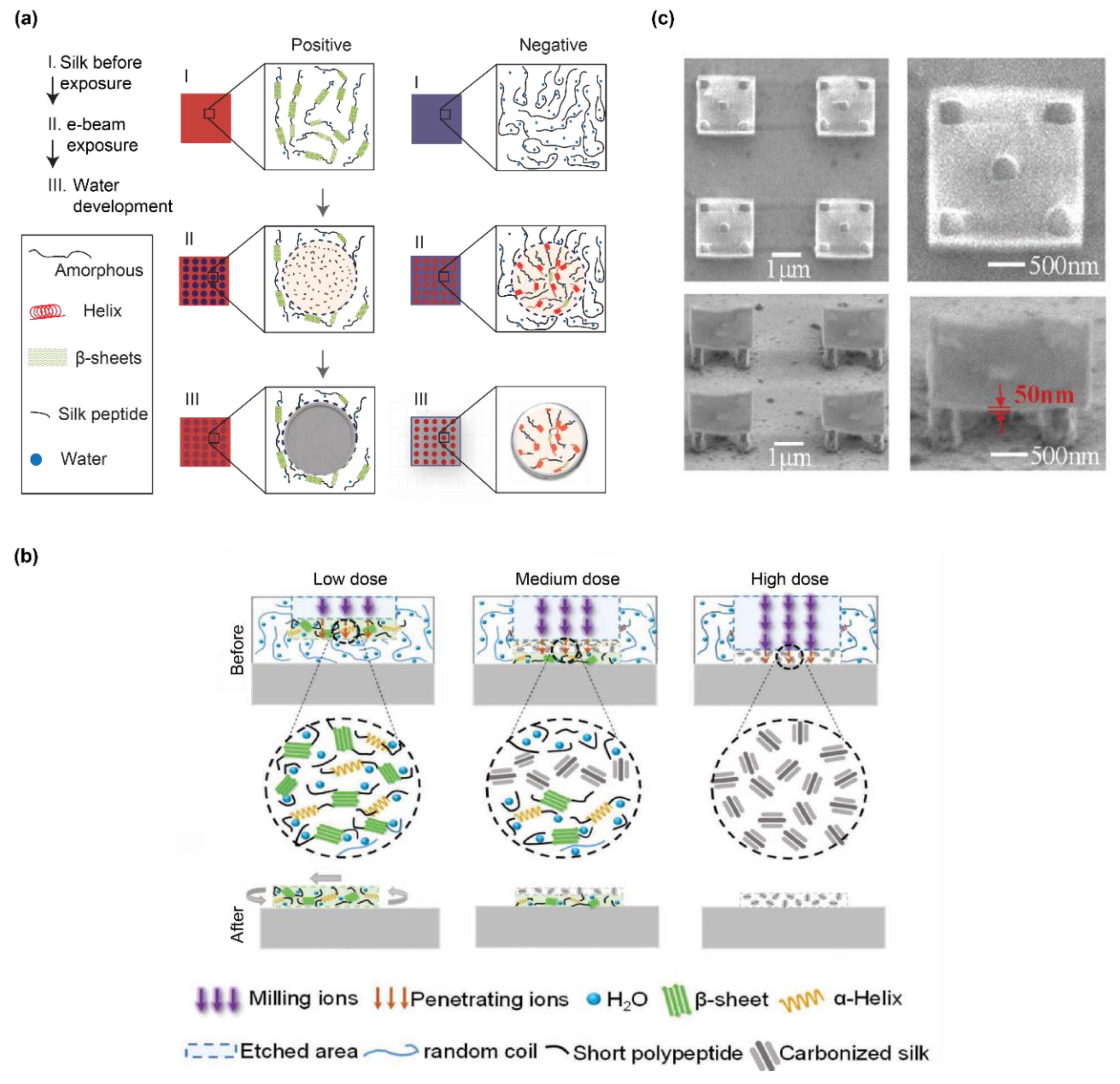 Polymers 12 02936 g006