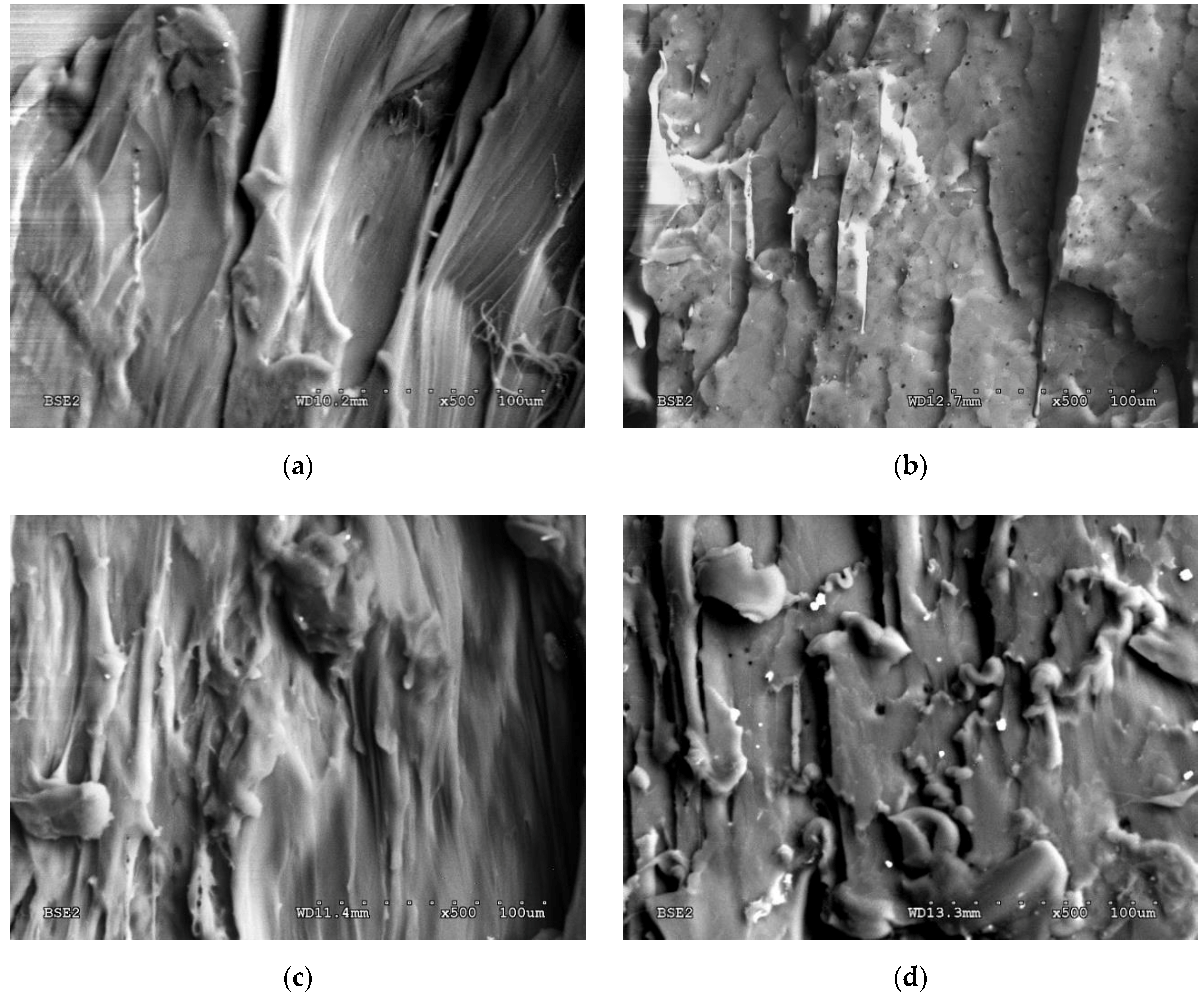 Polymers 12 02939 g004a Polymers 12 02939 g004a