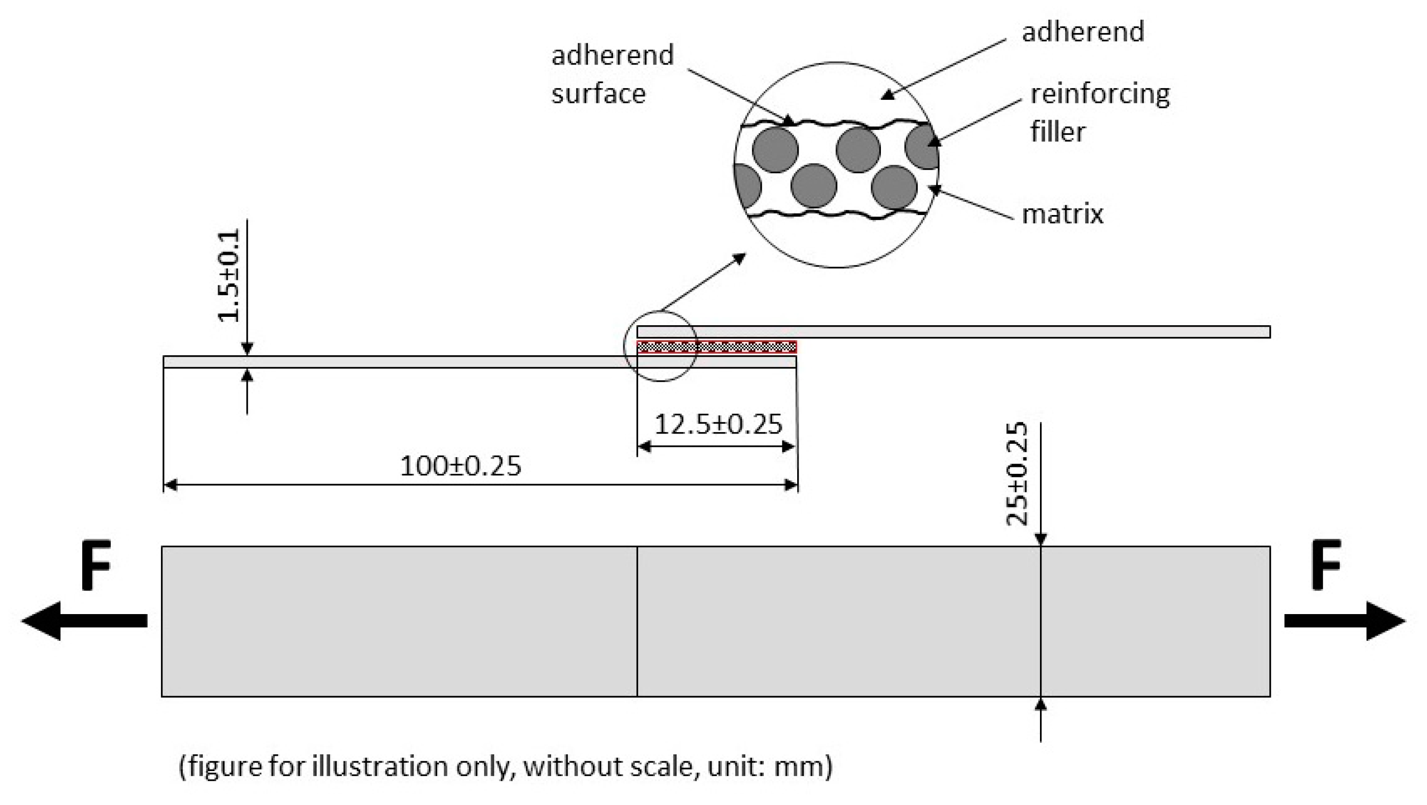 Polymers 12 02945 g001