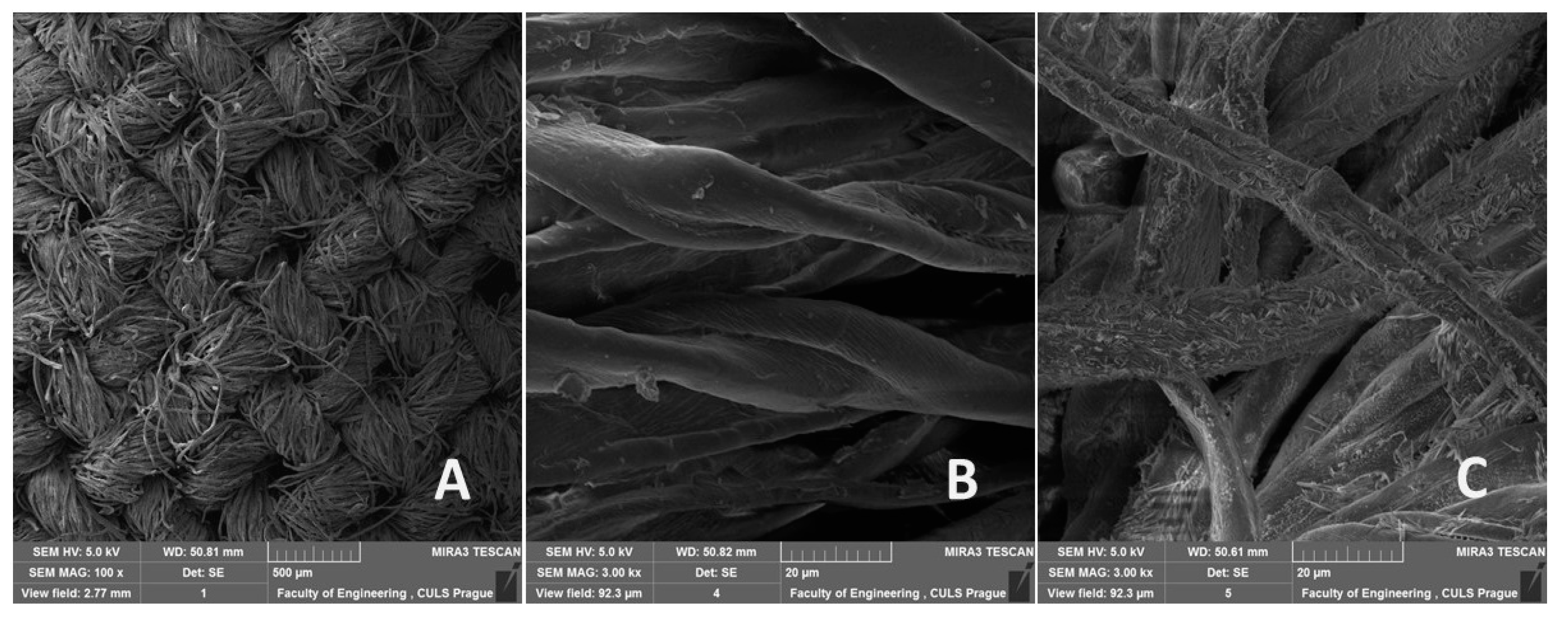 Polymers 12 02945 g002